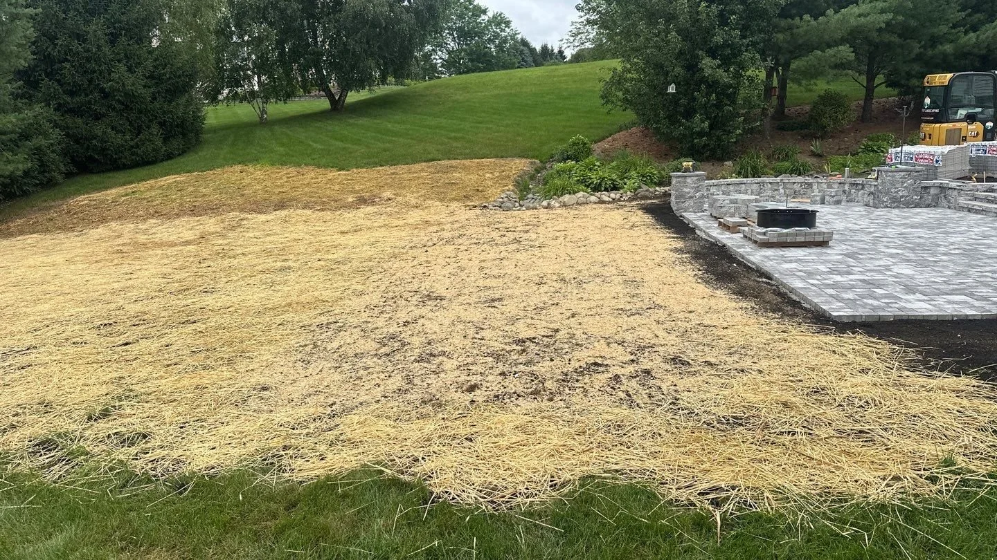 Seed and Straw - 18-8.jpg