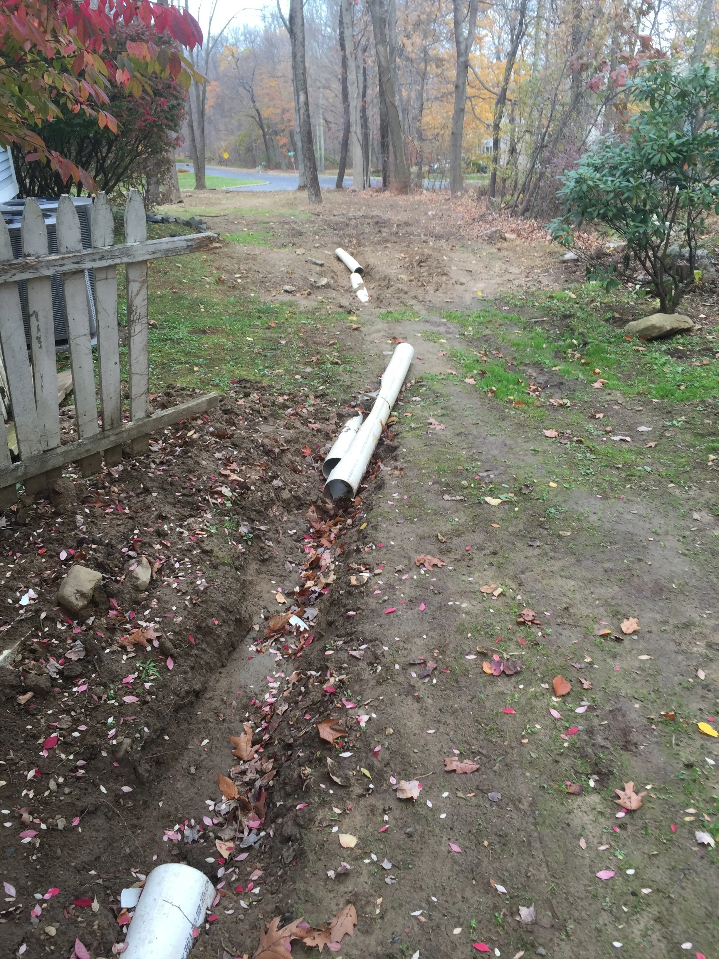 Seed and Straw - 19-1.jpg