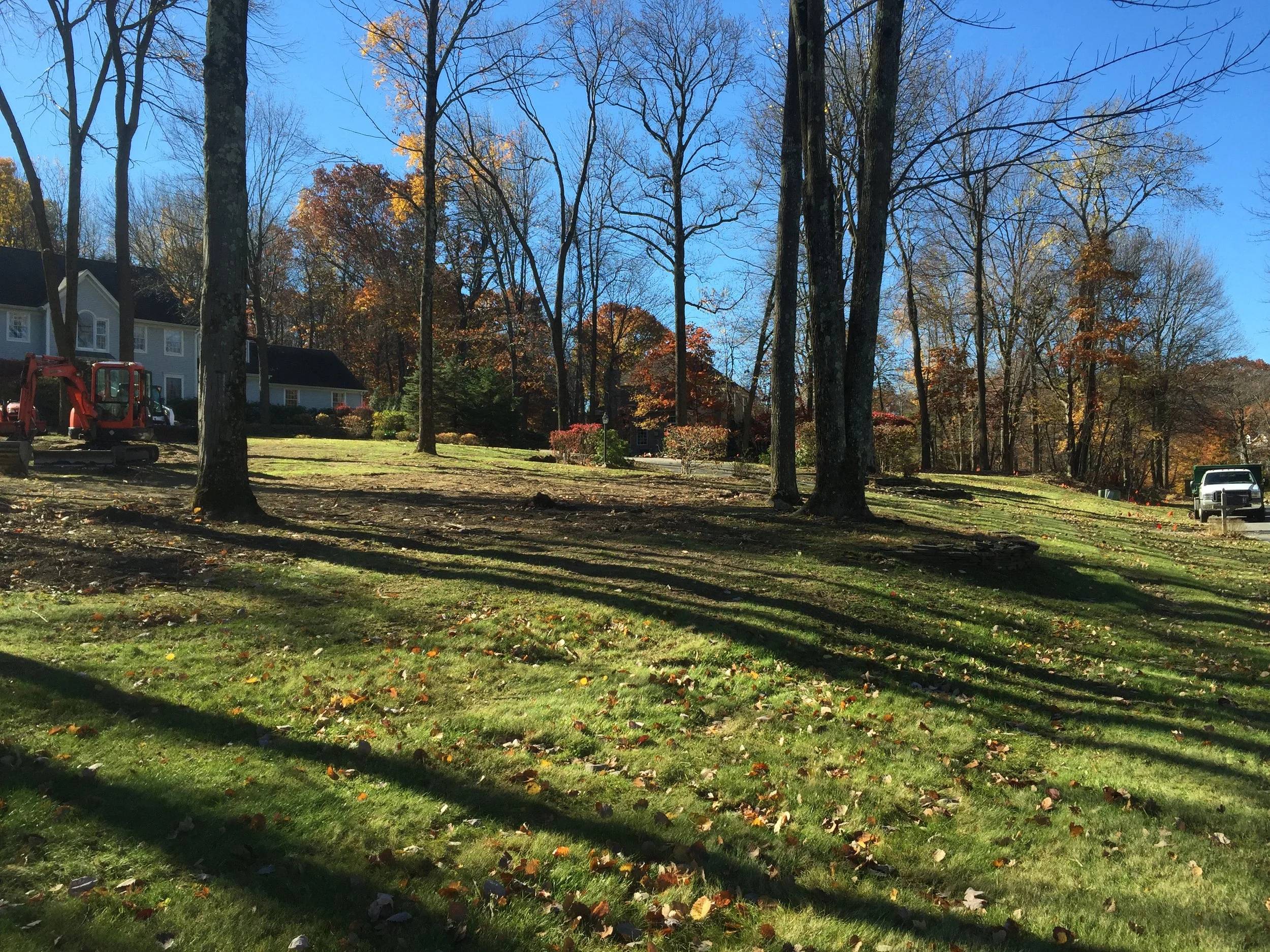 Seed and Straw - 19-2.jpg