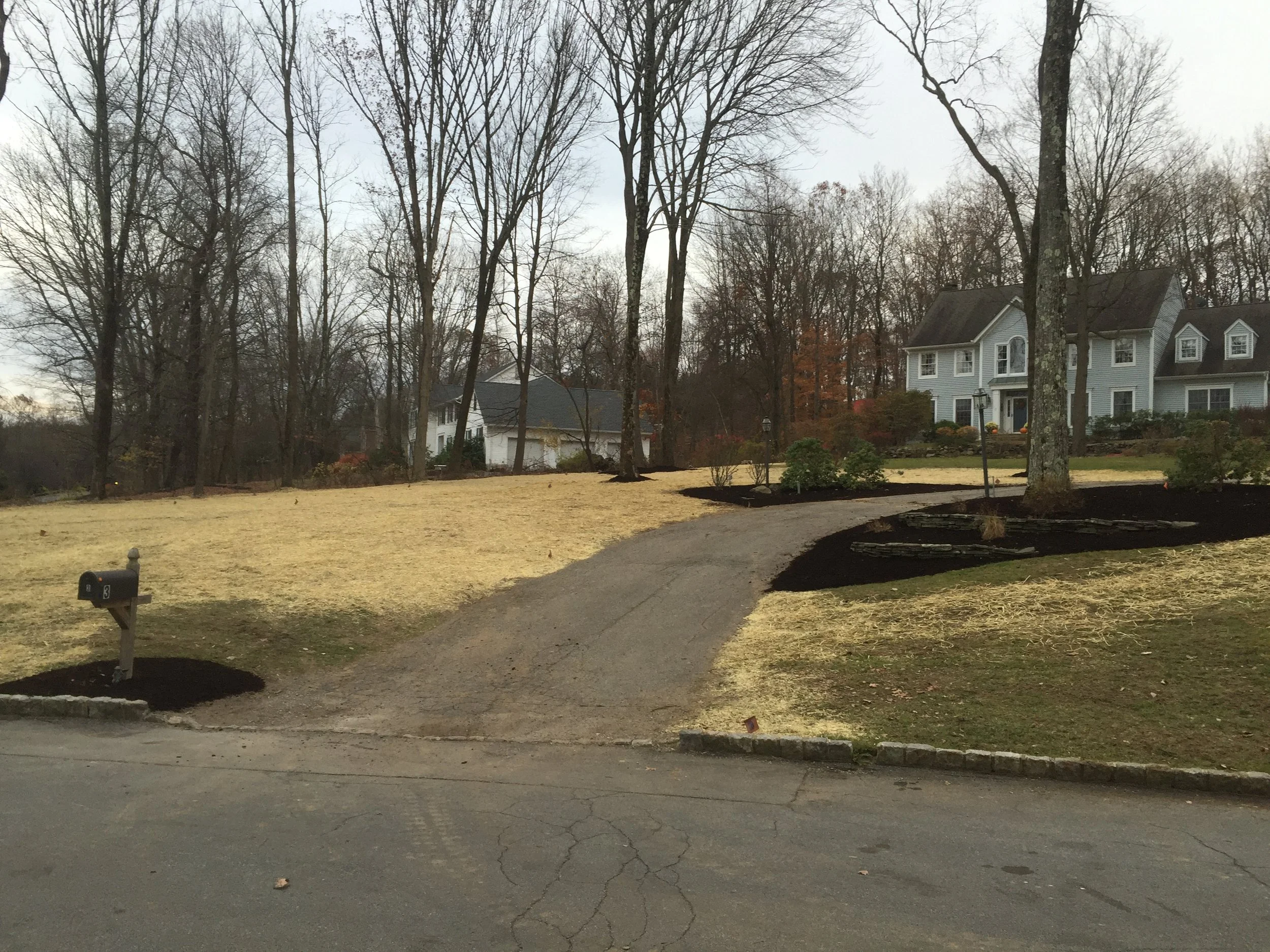 Seed and Straw - 19-10.jpg