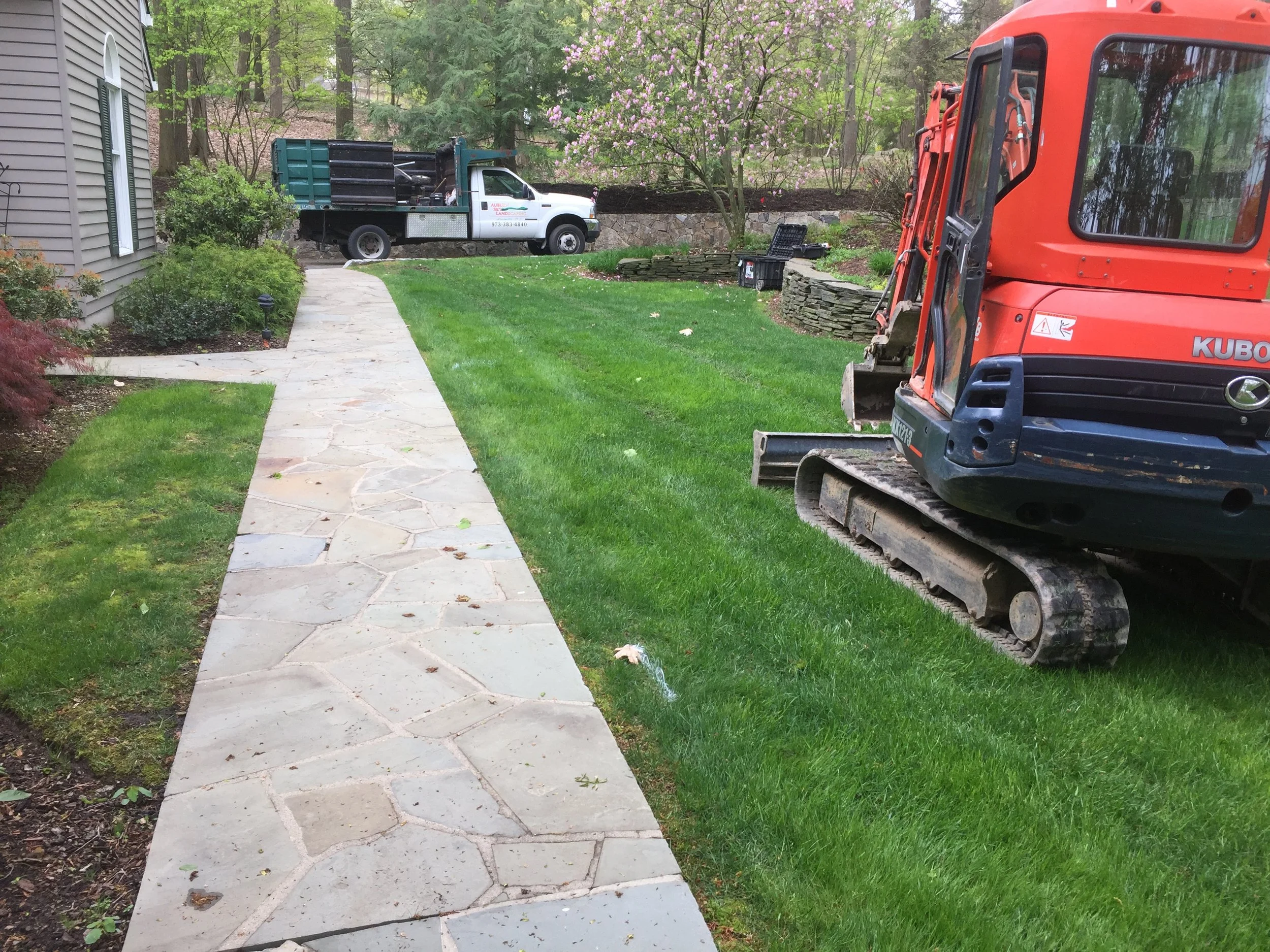 Seed and Straw - 24-2.jpg