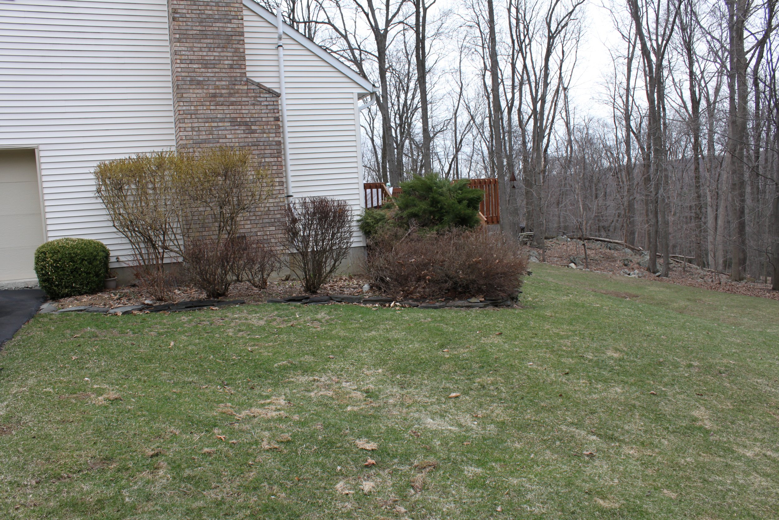 Seed and Straw - 25-1.JPG