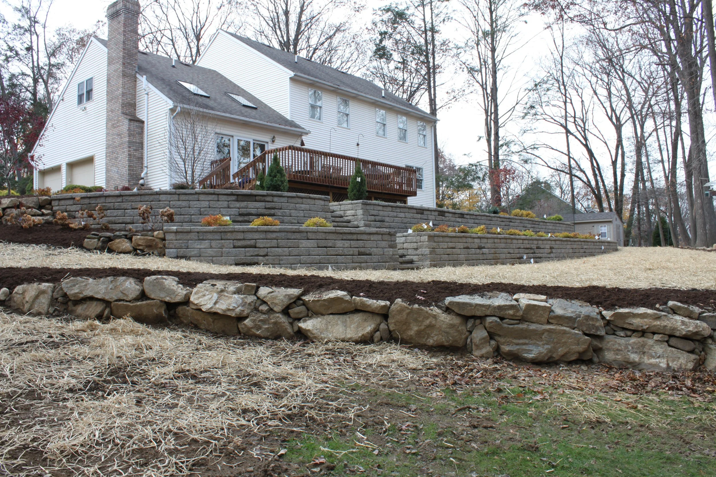 Seed and Straw - 25-6.JPG