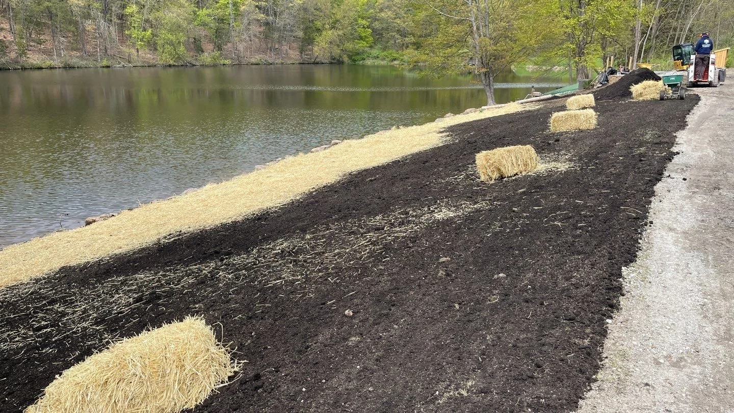 Seed and Straw - 1-5.jpg