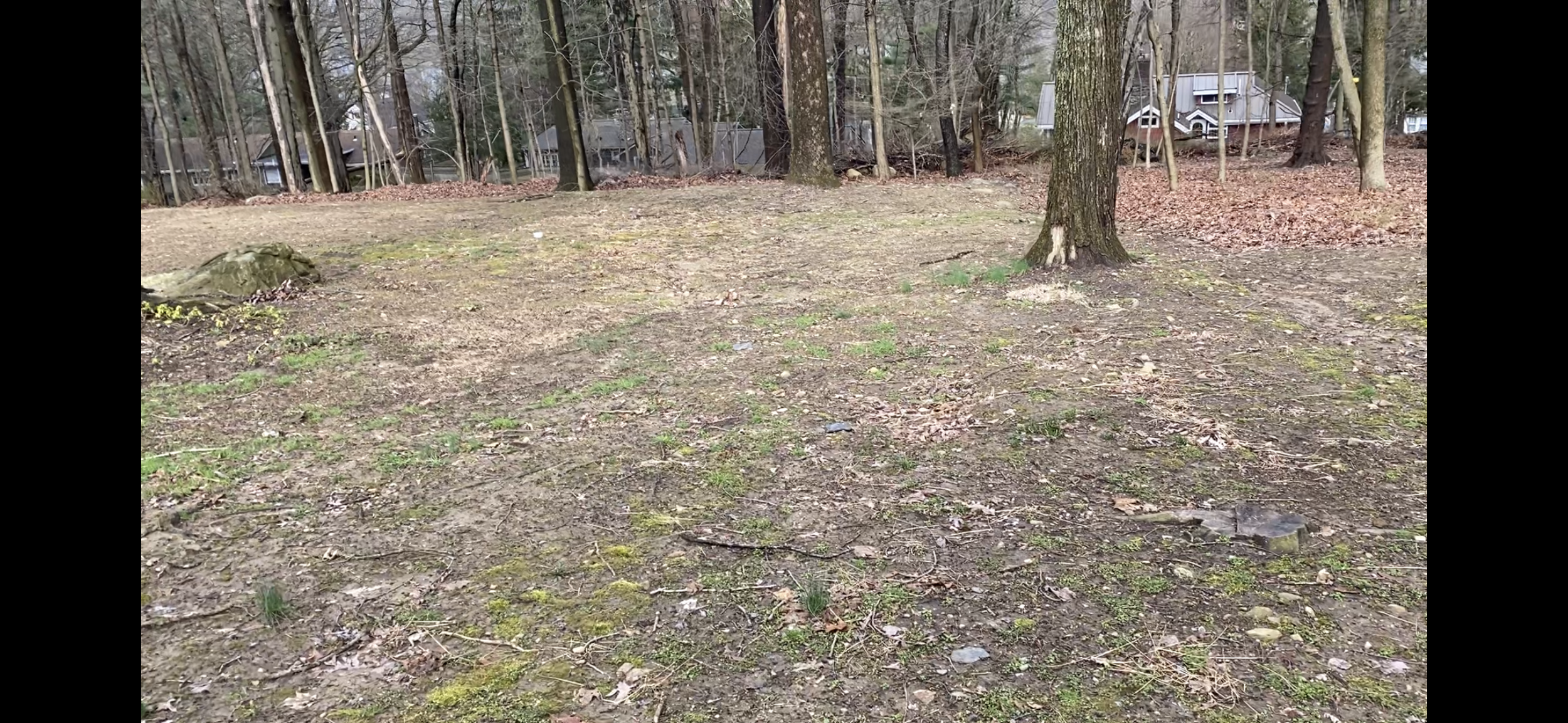 Seed and Straw - 5-1.PNG