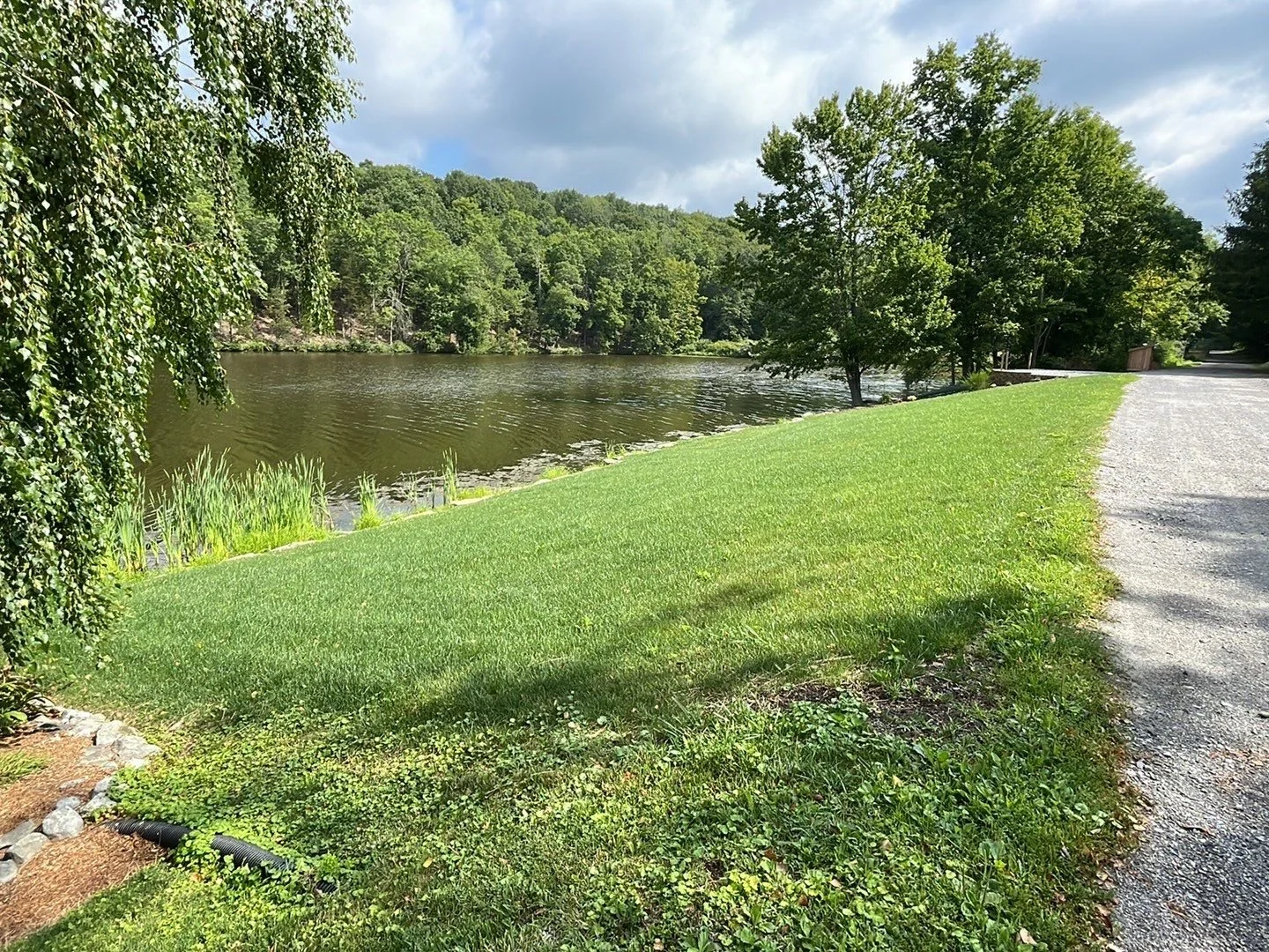 Seed and Straw - 1-8.jpg