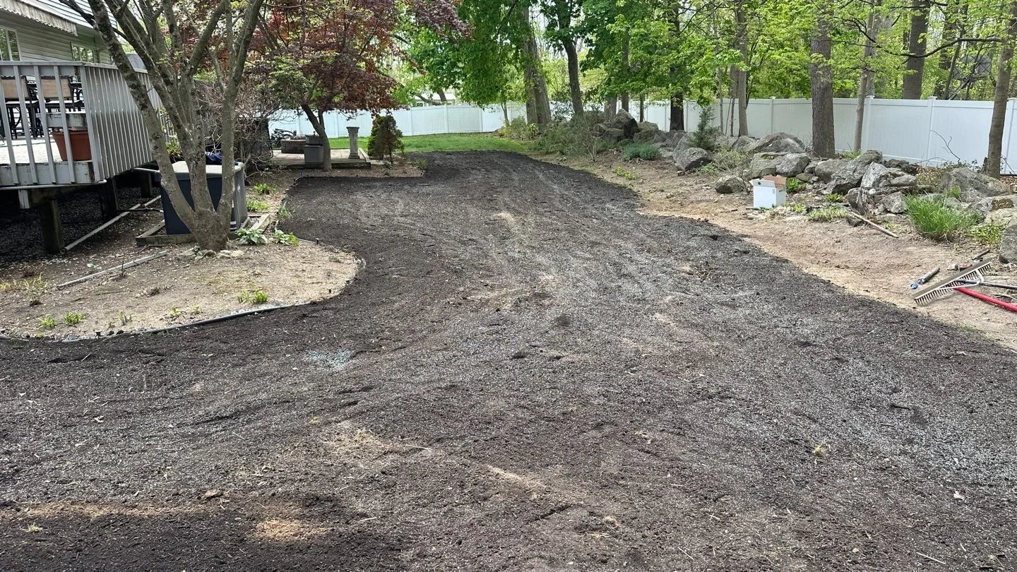 Seed and Straw - 2-4.jpg