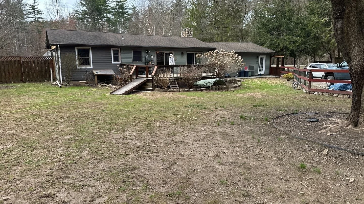 Seed and Straw - 4-1.jpg