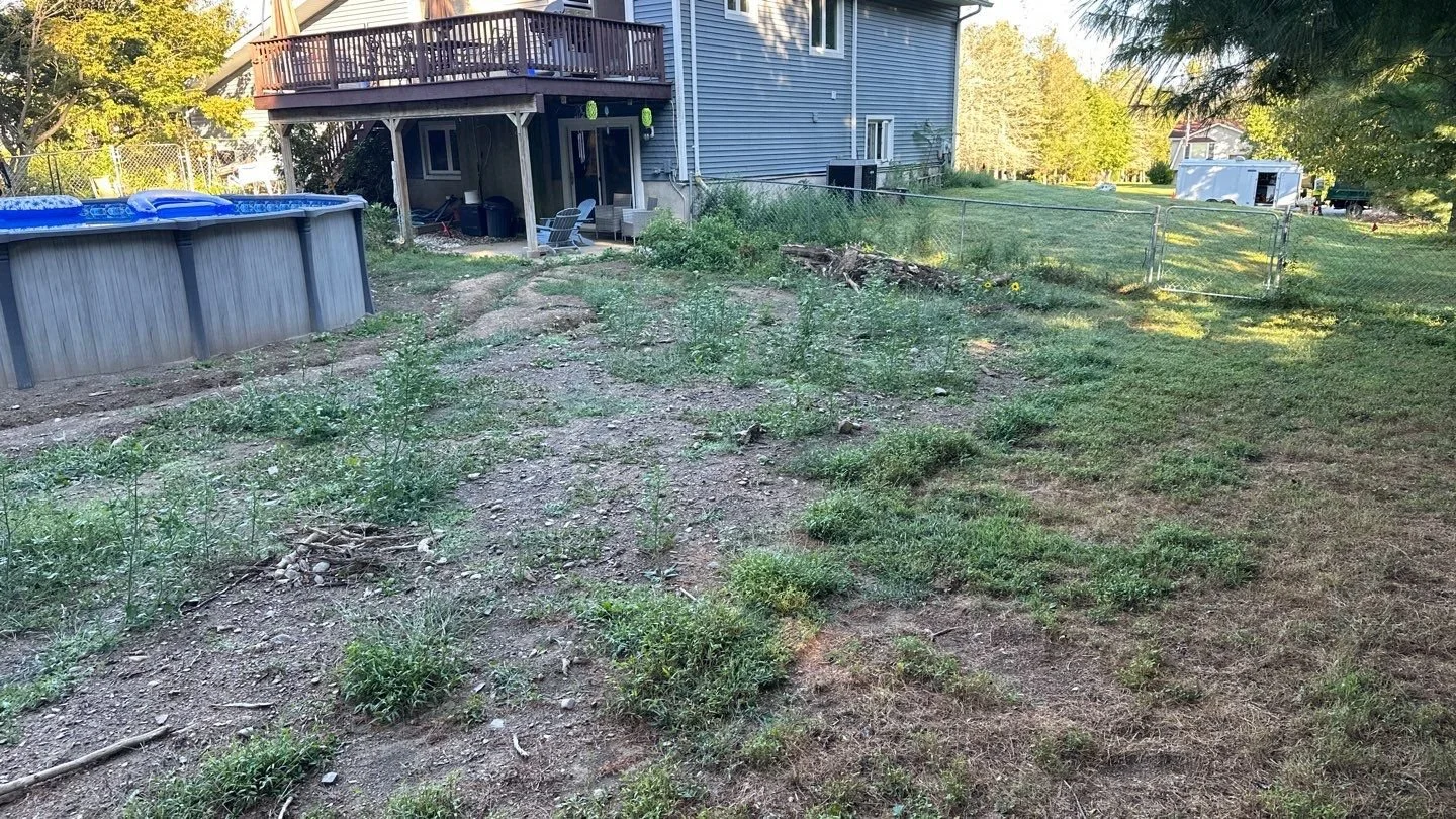 Seed and Straw - 3-2.jpg