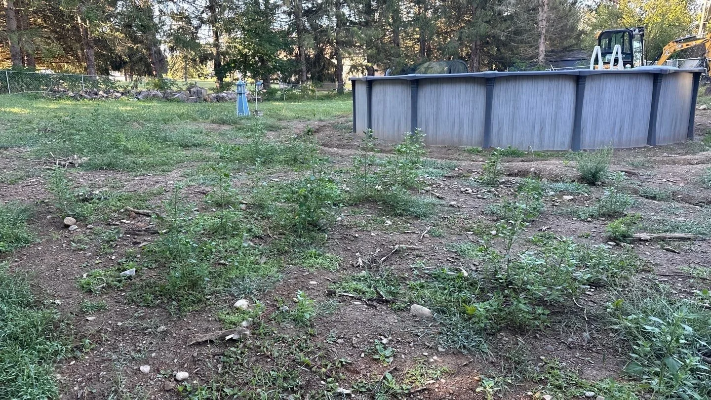 Seed and Straw - 3-3.jpg