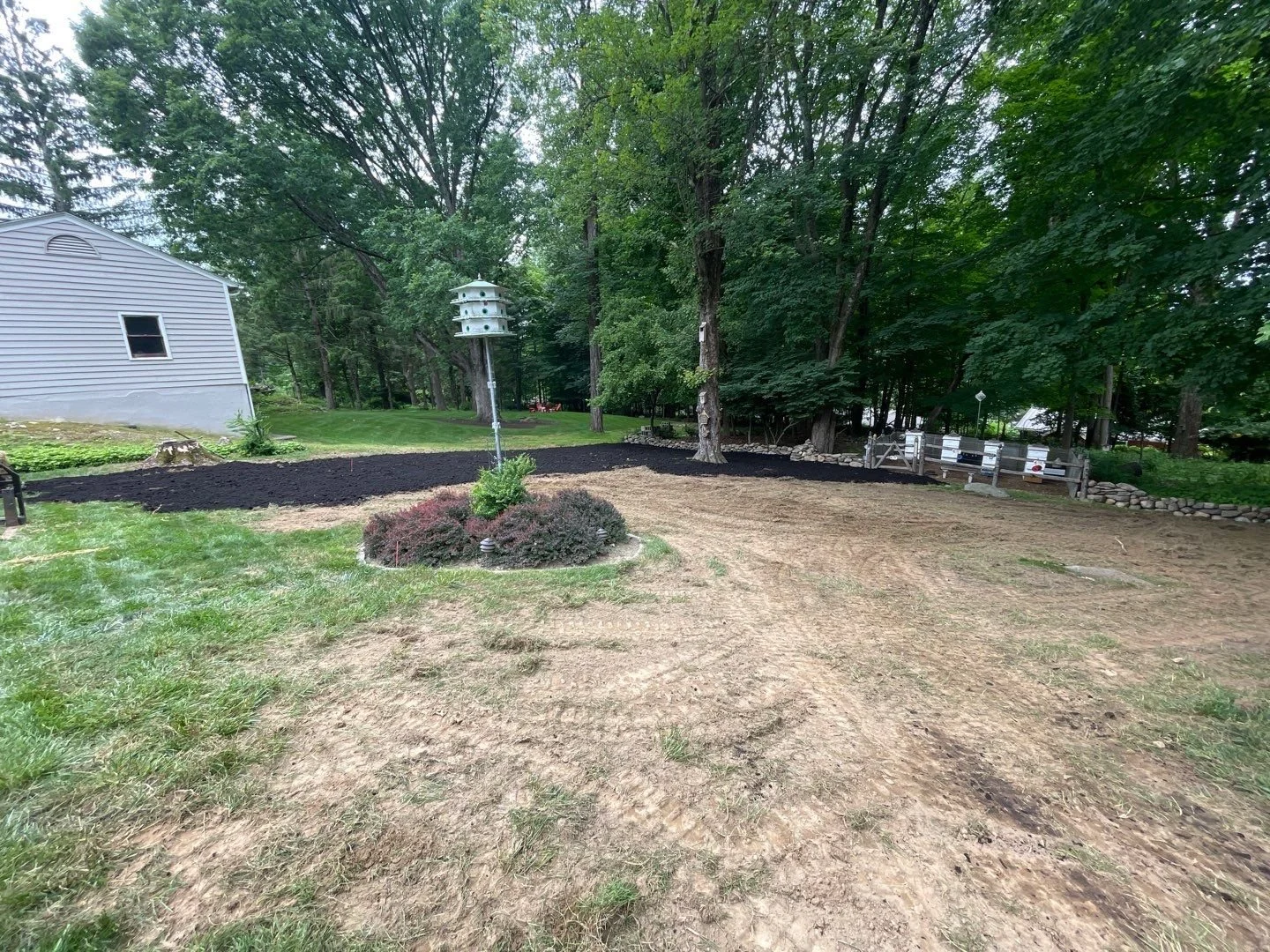 Seed and Straw - 7-4.jpg