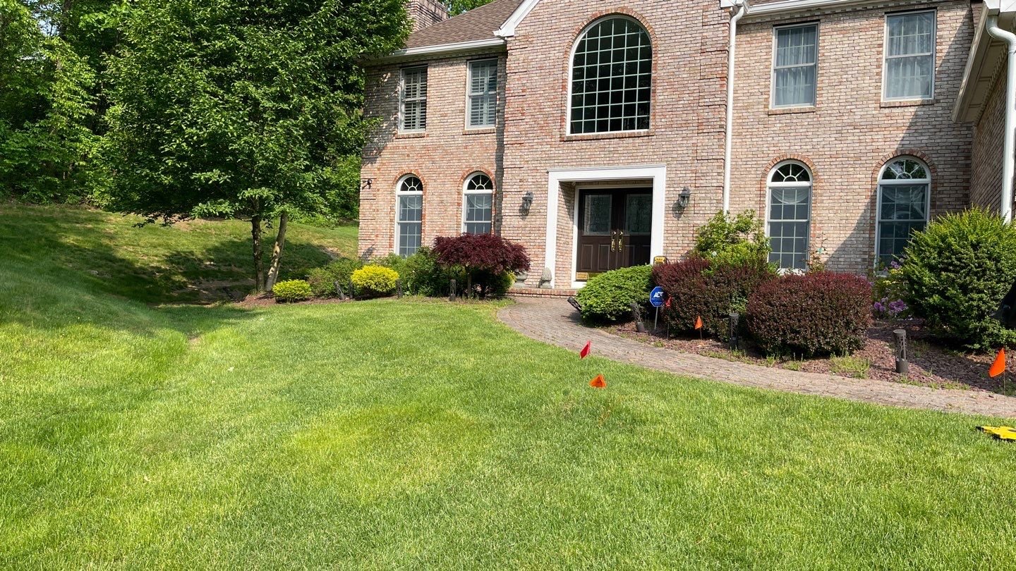 Seed and Straw - 6-3.jpg