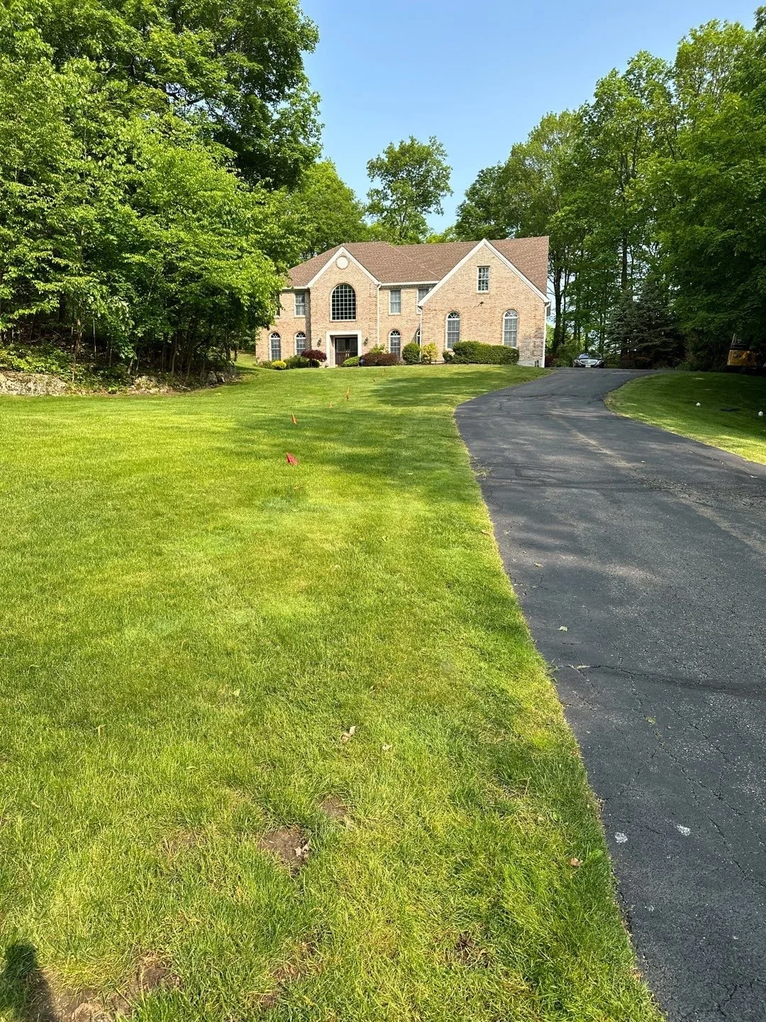 Seed and Straw - 6-1.jpg