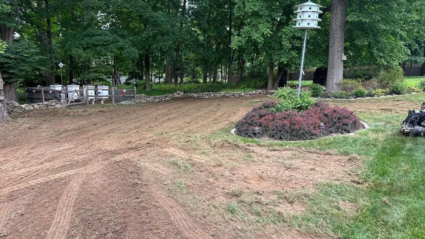 Seed and Straw - 7-2.jpg