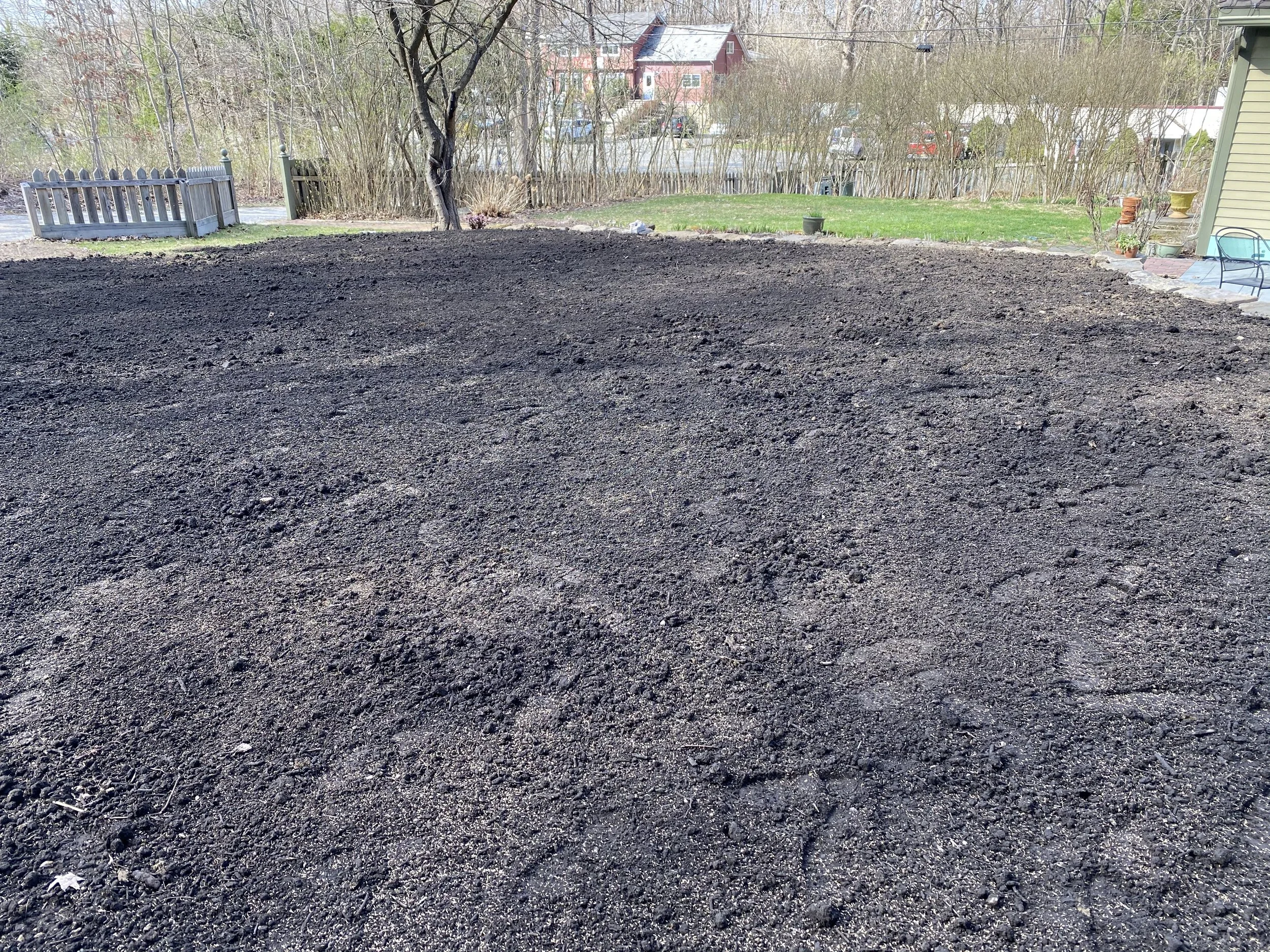 Seed and Straw - 12-2.jpg