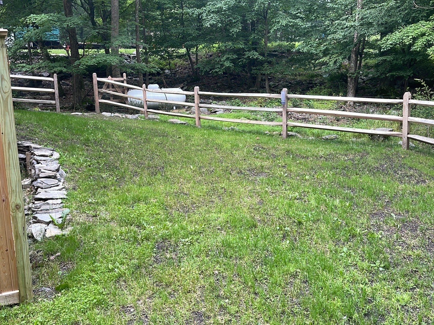 Seed and Straw - 10-2.jpg