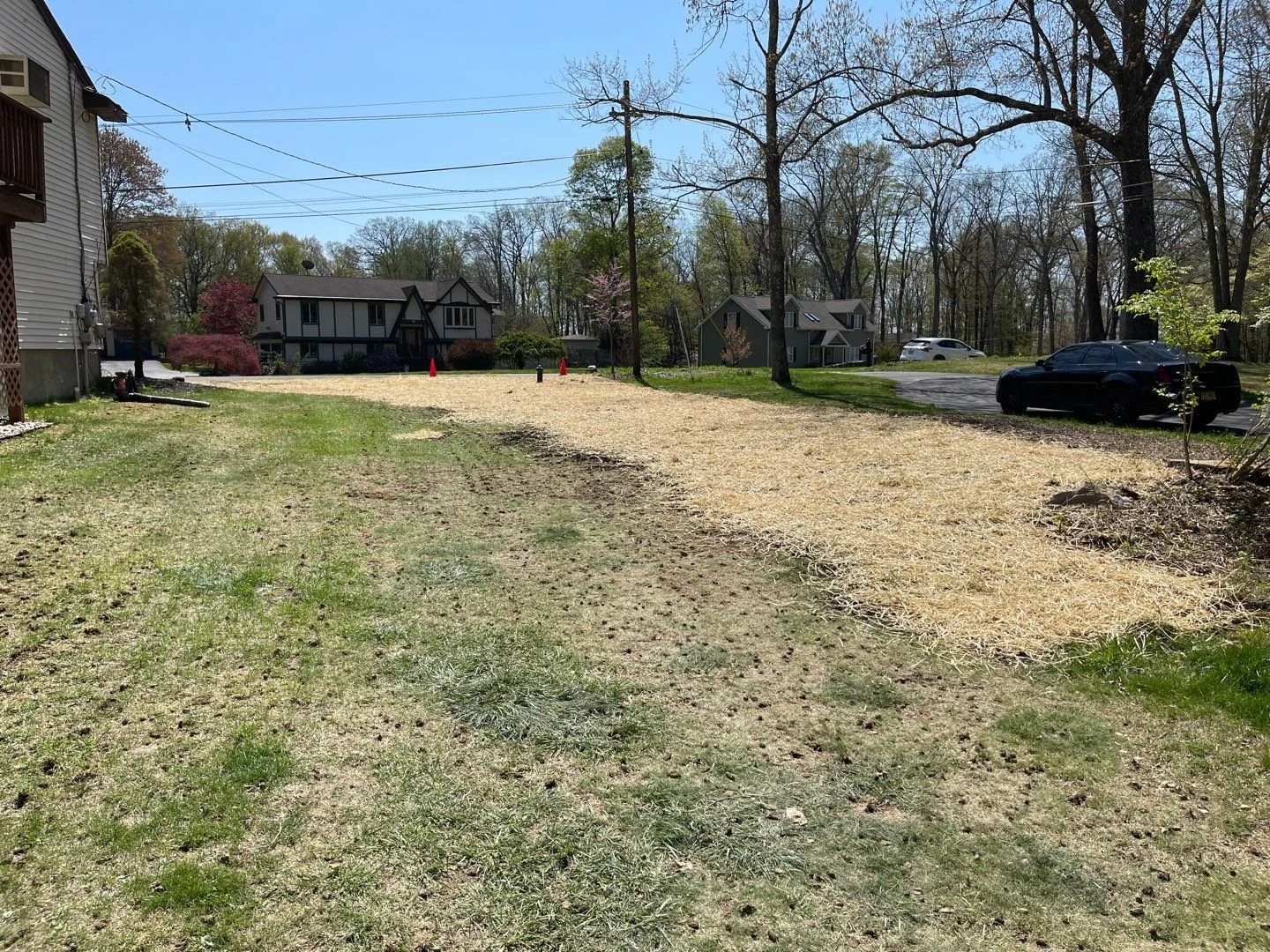 Seed and Straw - 9-5.jpg