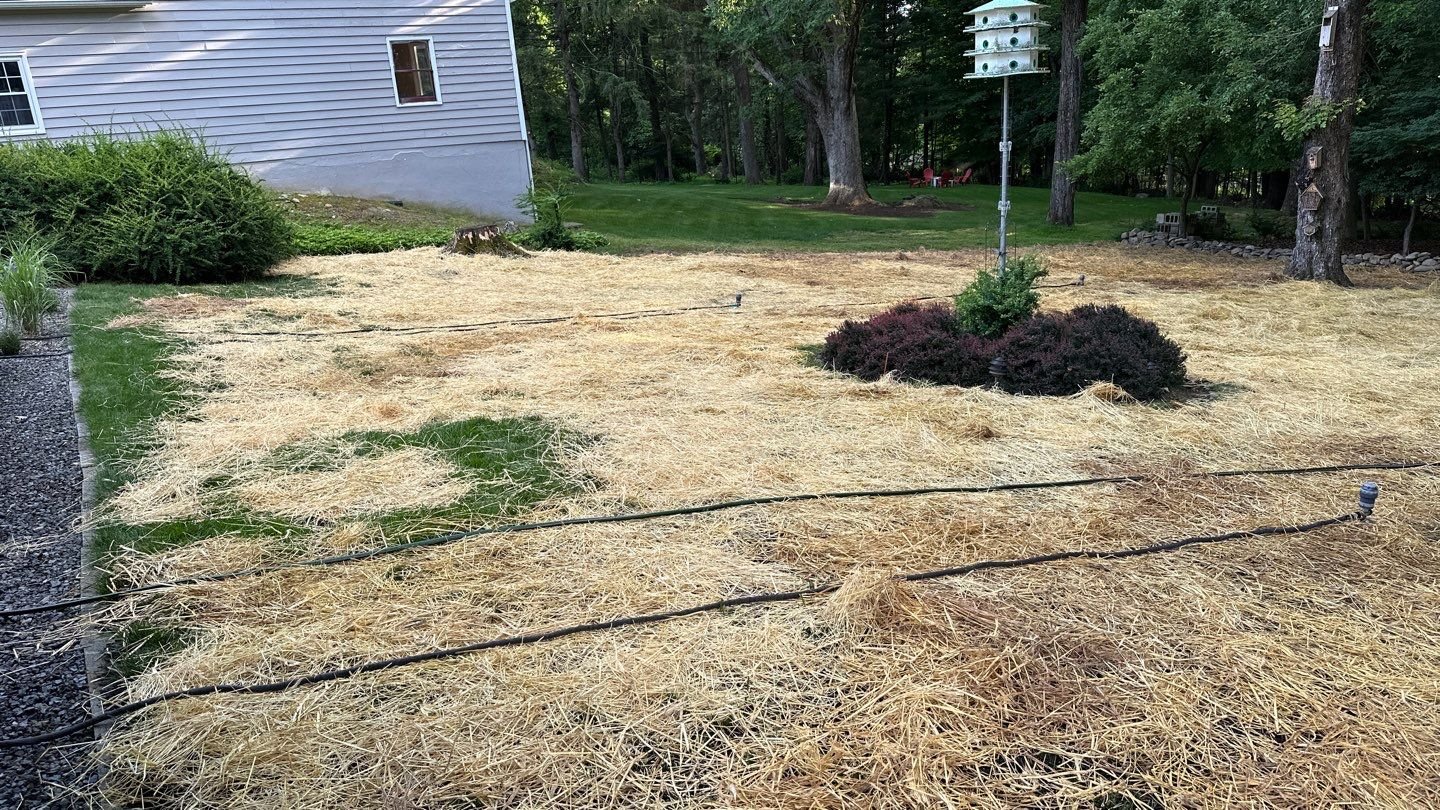 Seed and Straw - 7-7.jpg