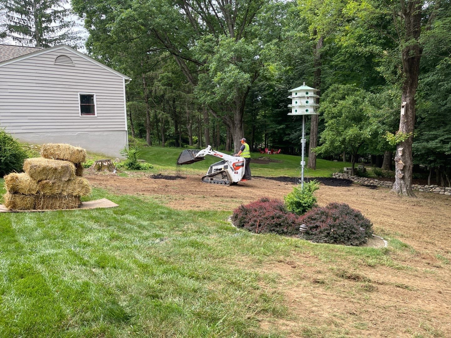 Seed and Straw - 7-3.jpg