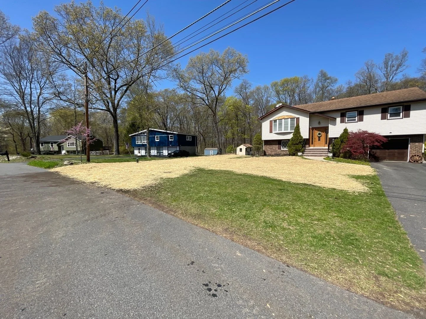 Seed and Straw - 9-7.jpg