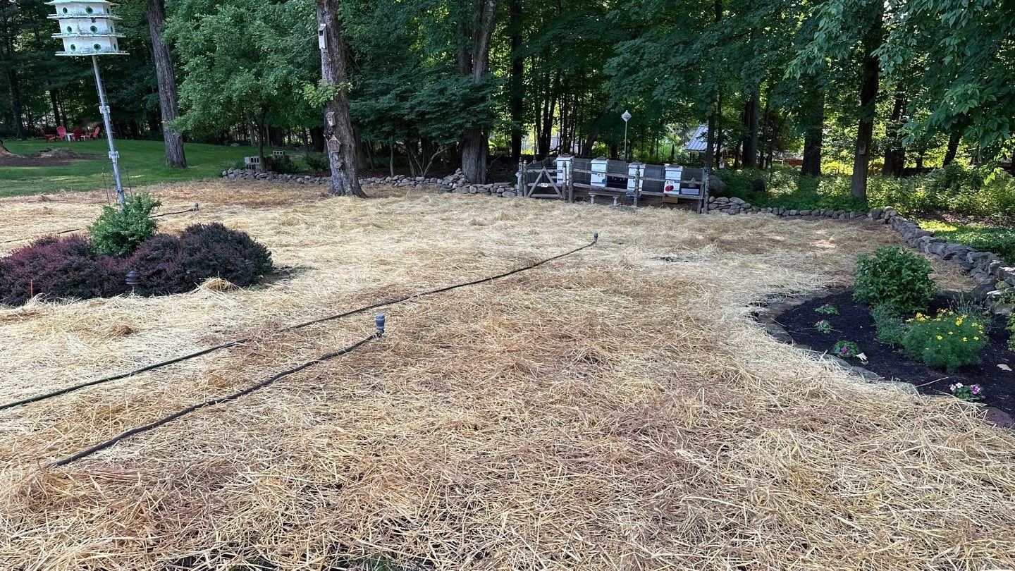 Seed and Straw - 7-6.jpg