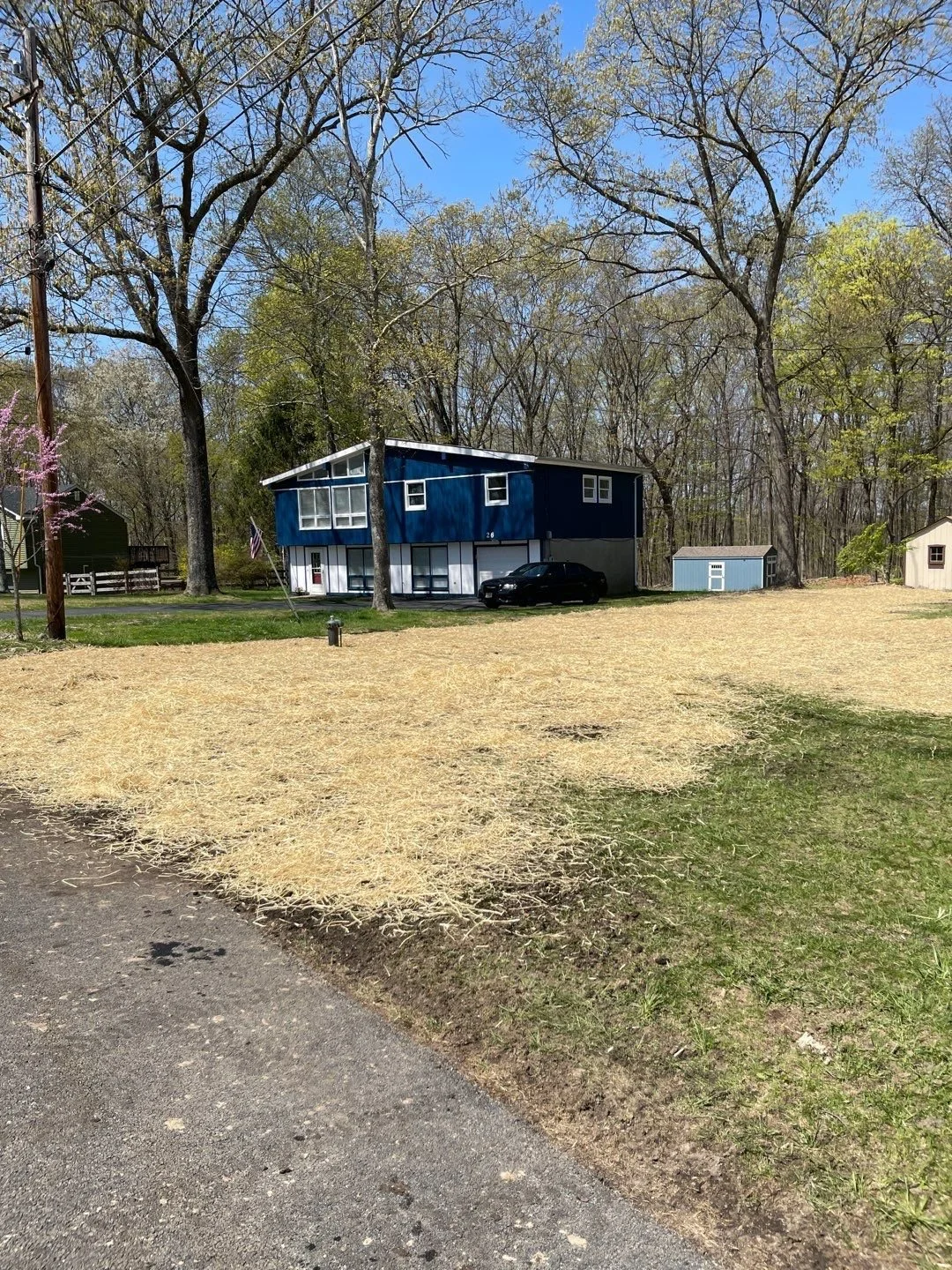 Seed and Straw - 9-6.jpg