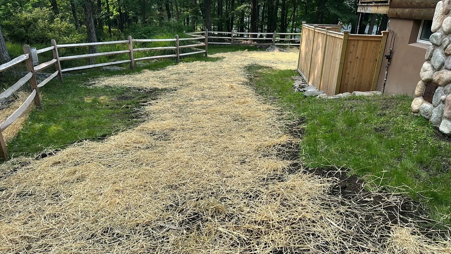 Seed and Straw - 10-7.jpg