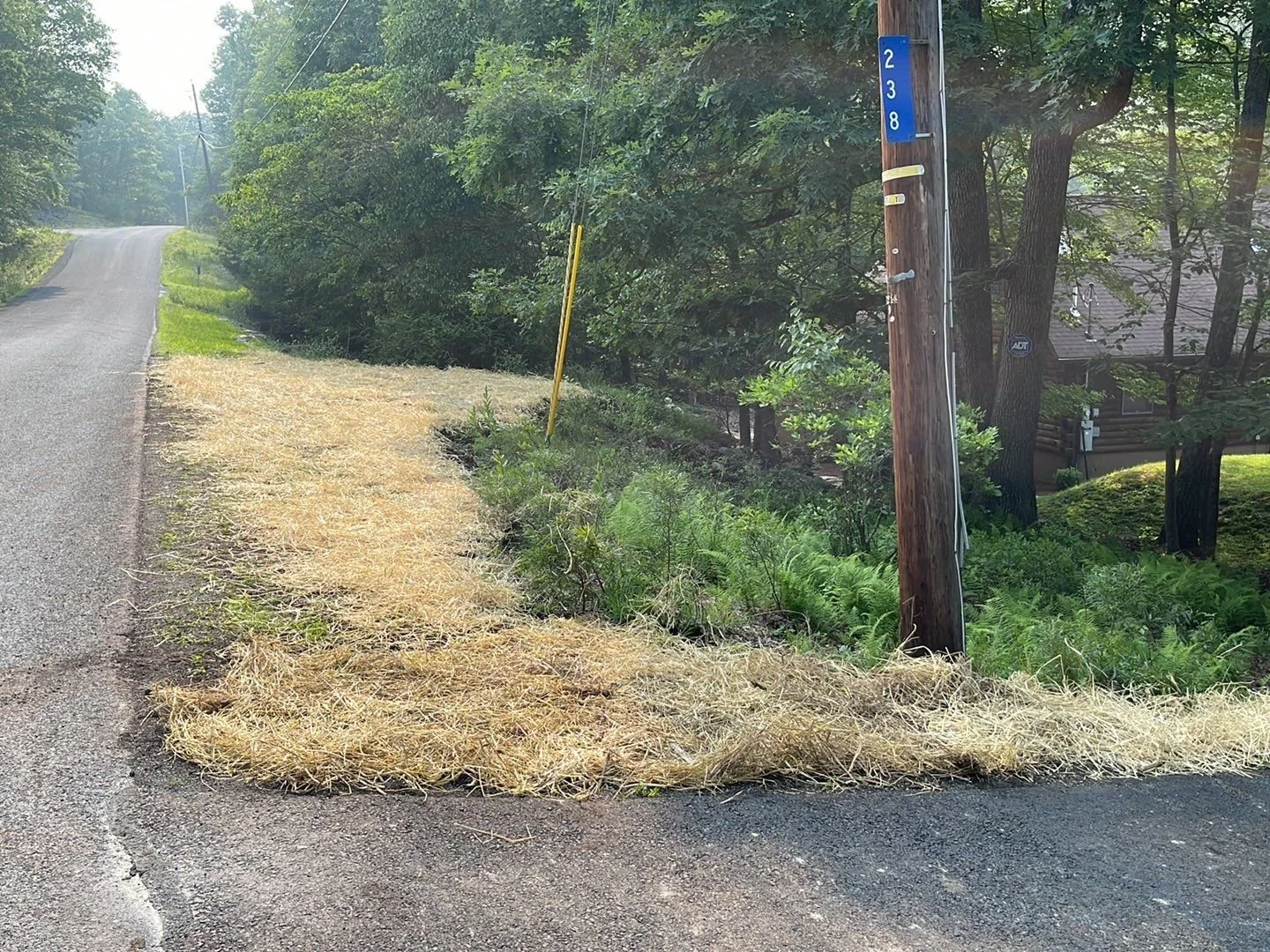 Seed and Straw - 10-6.jpg