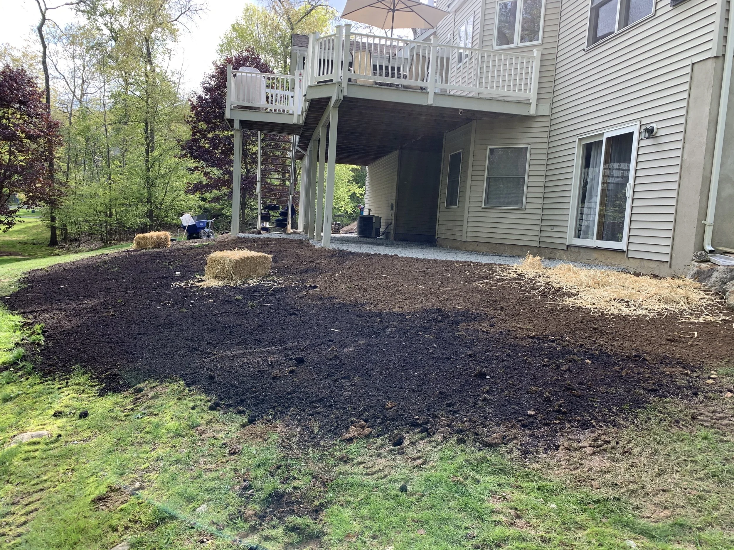 Seed and Straw - 17-2.jpg