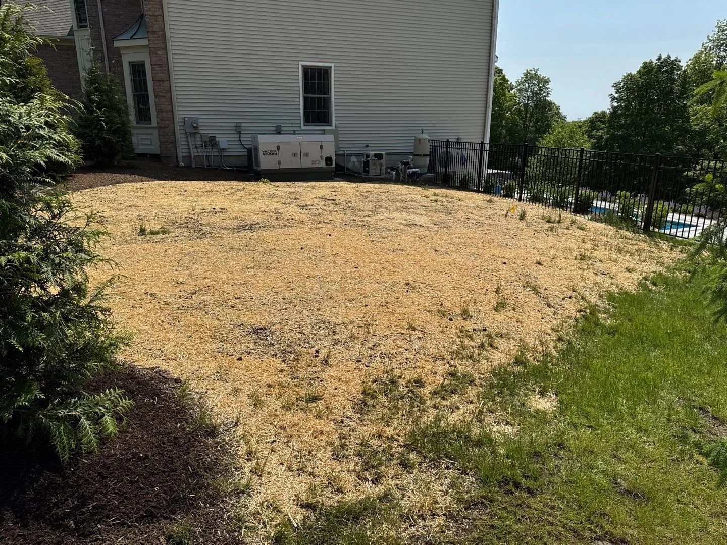 Seed and Straw - 15-2.jpg