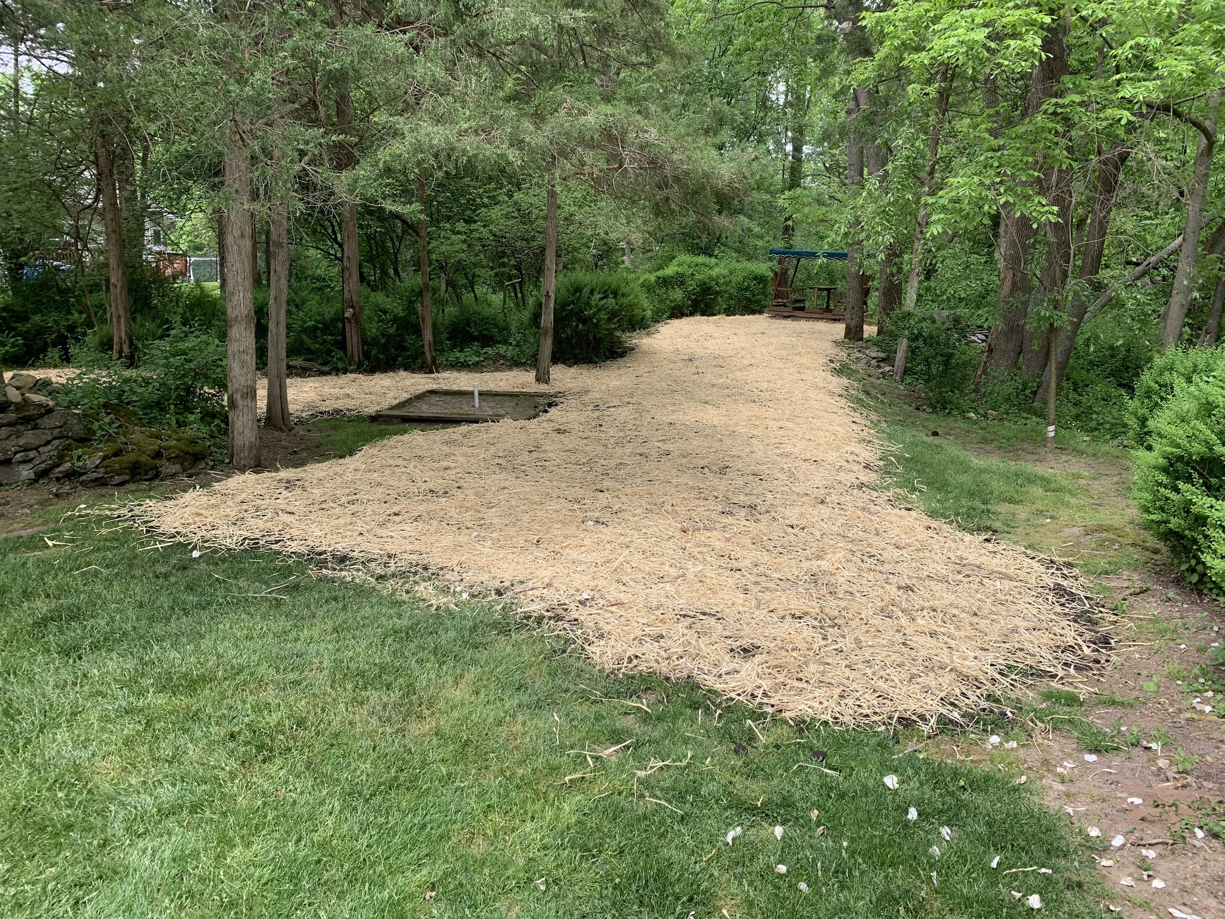 Seed and Straw - 23-3.jpg