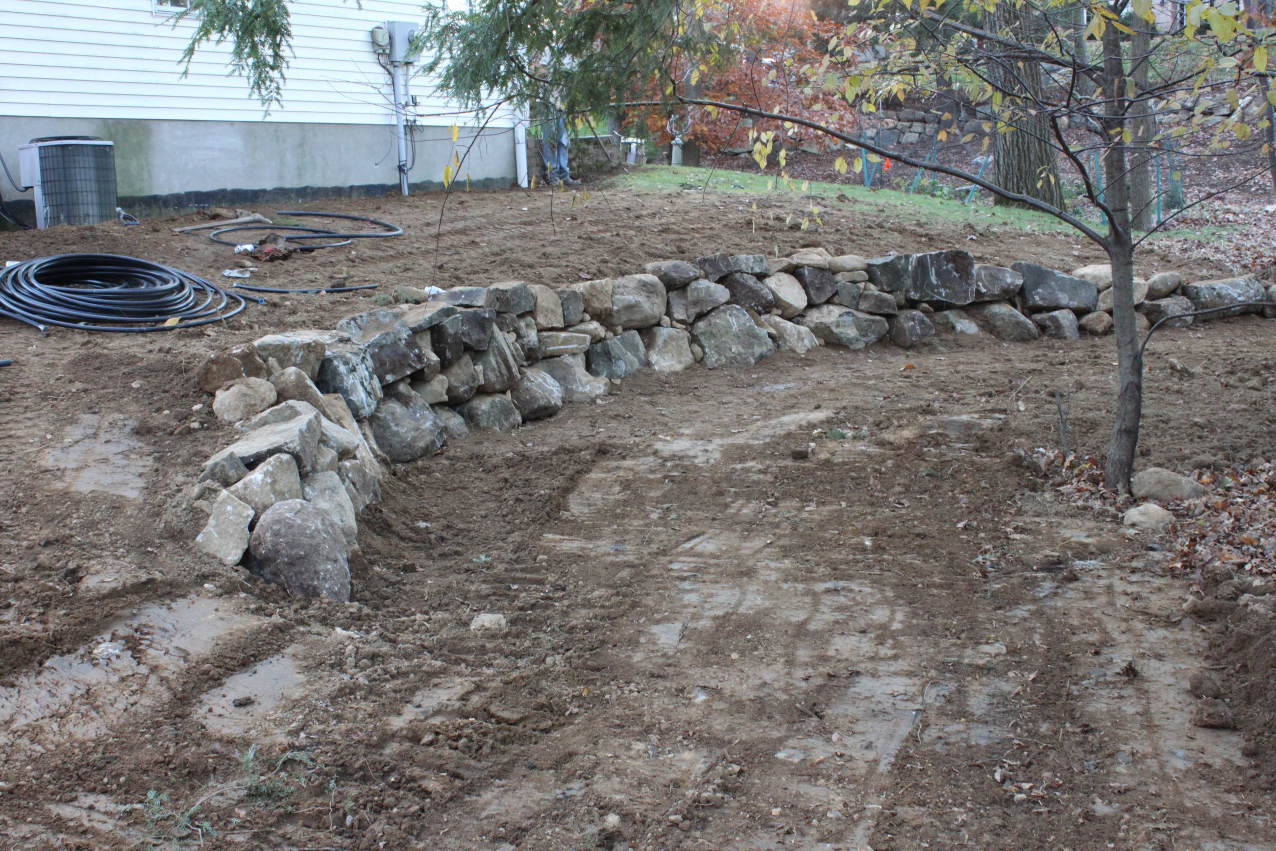 Seed and Straw - 25-3.JPG