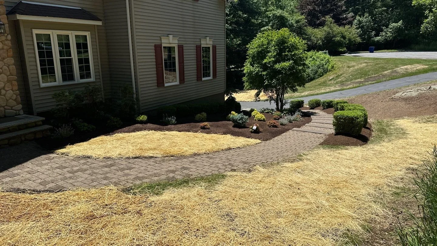 Seed and Straw - 17-9.jpg