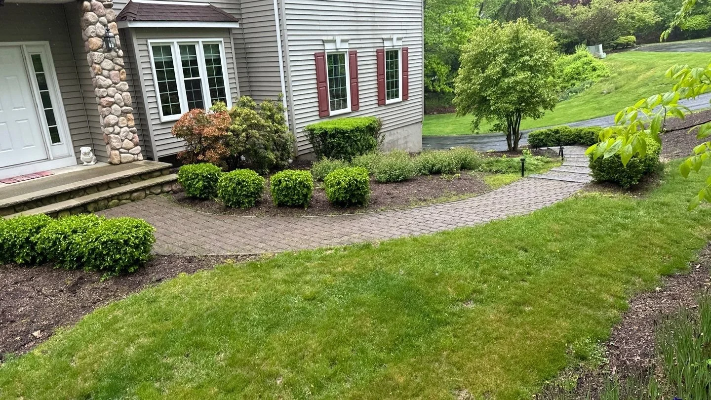 Seed and Straw - 17-4.jpg