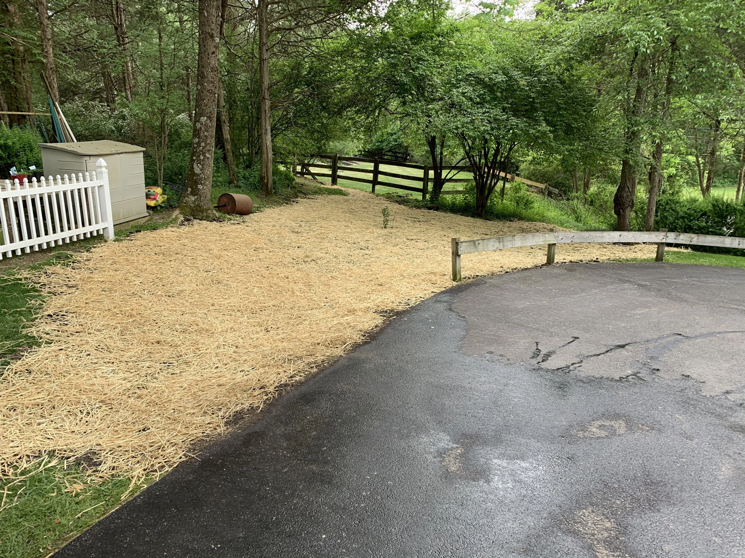 Seed and Straw - 23-4.jpg