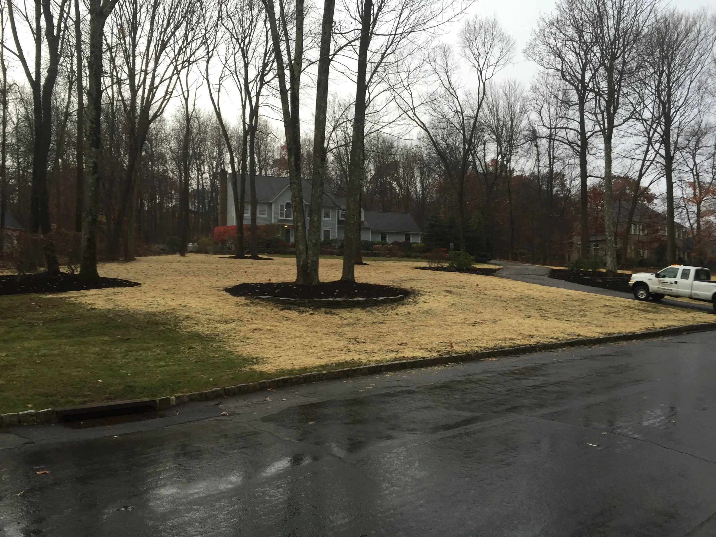 Seed and Straw - 19-9.jpg