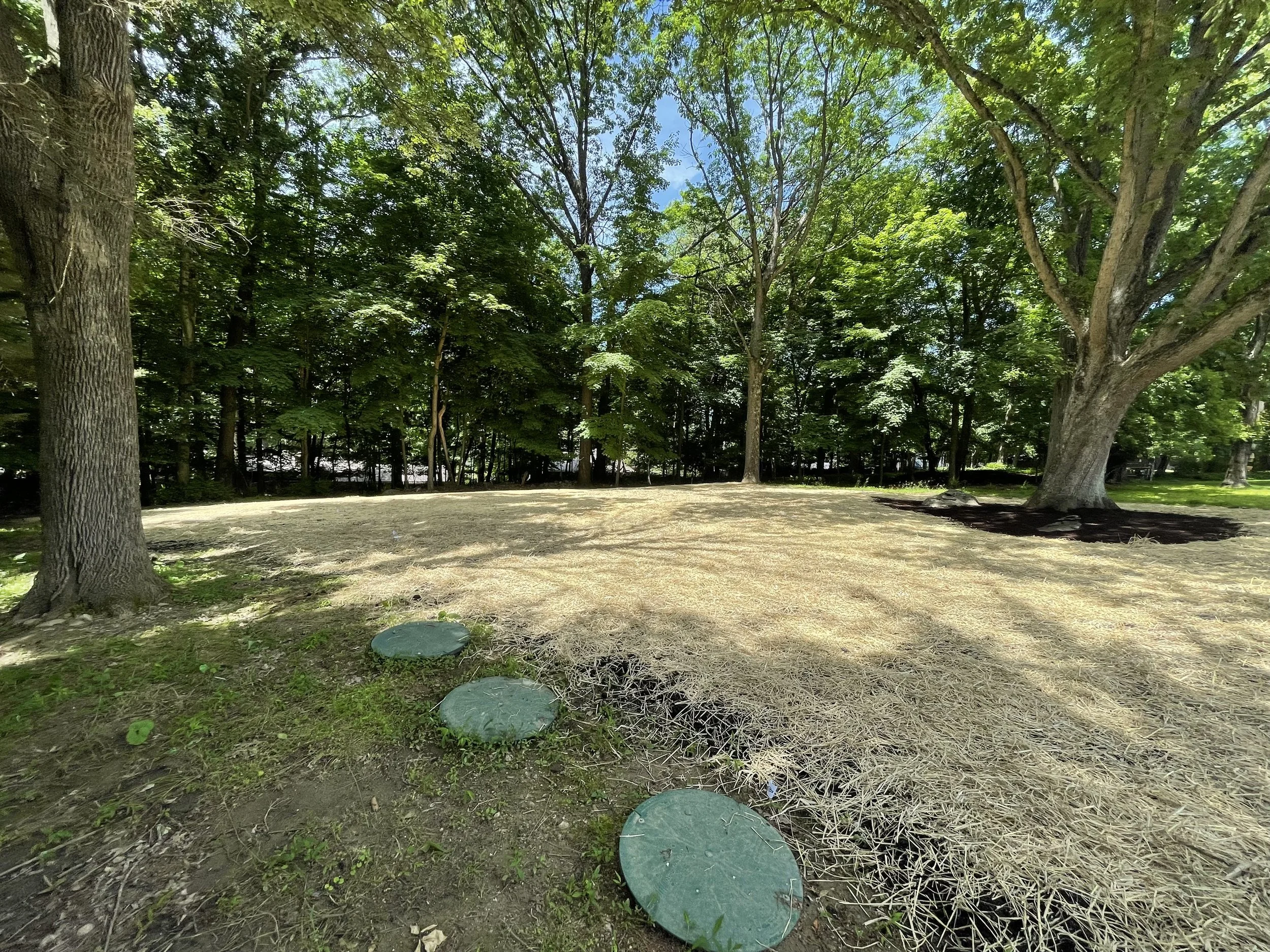 Seed and Straw - 5-8.jpg