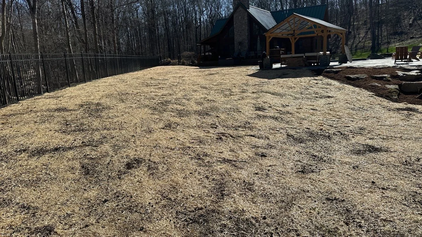 Seed and Straw - 8-8.jpg