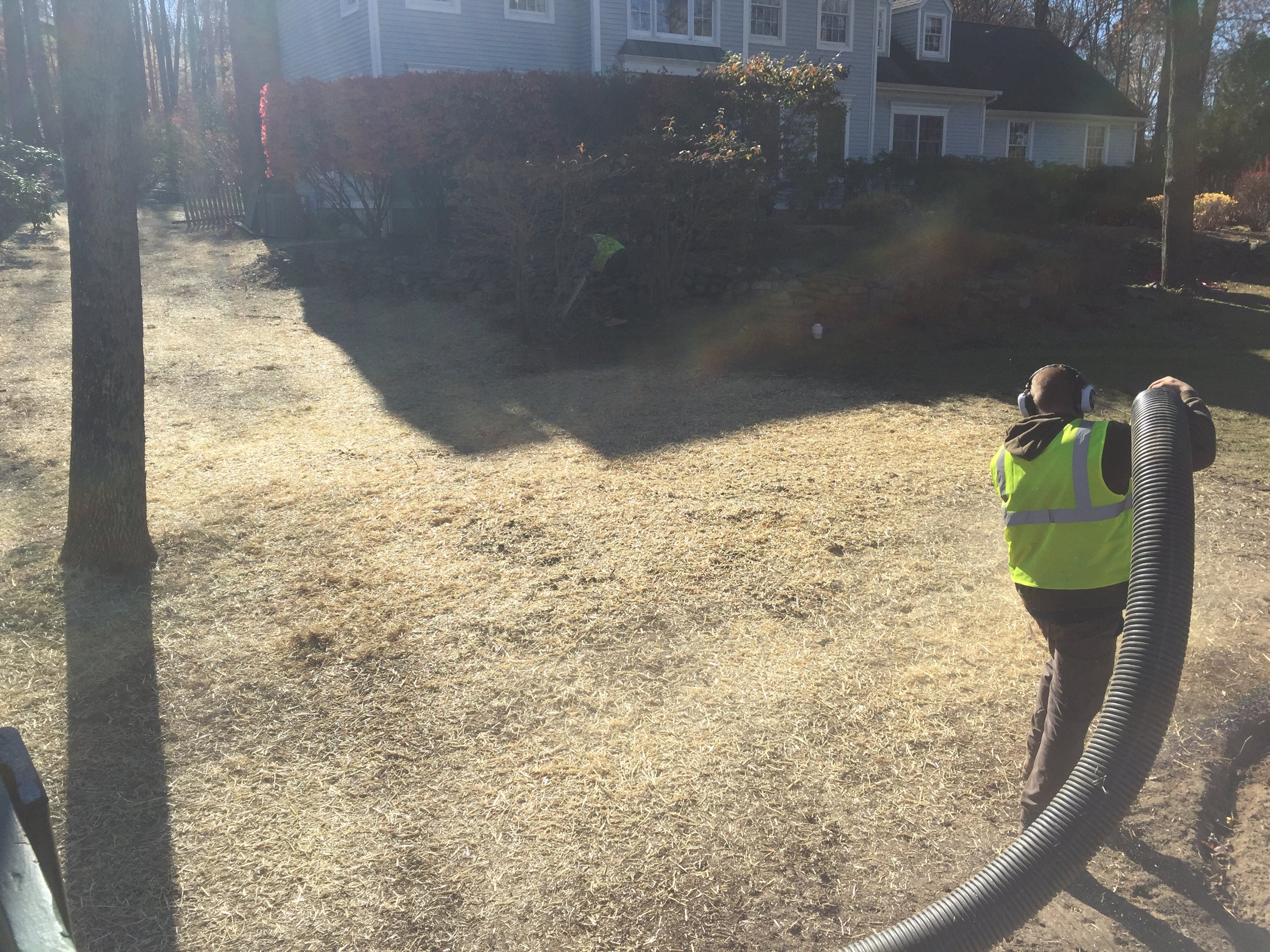 Seed and Straw - 19-6.jpg