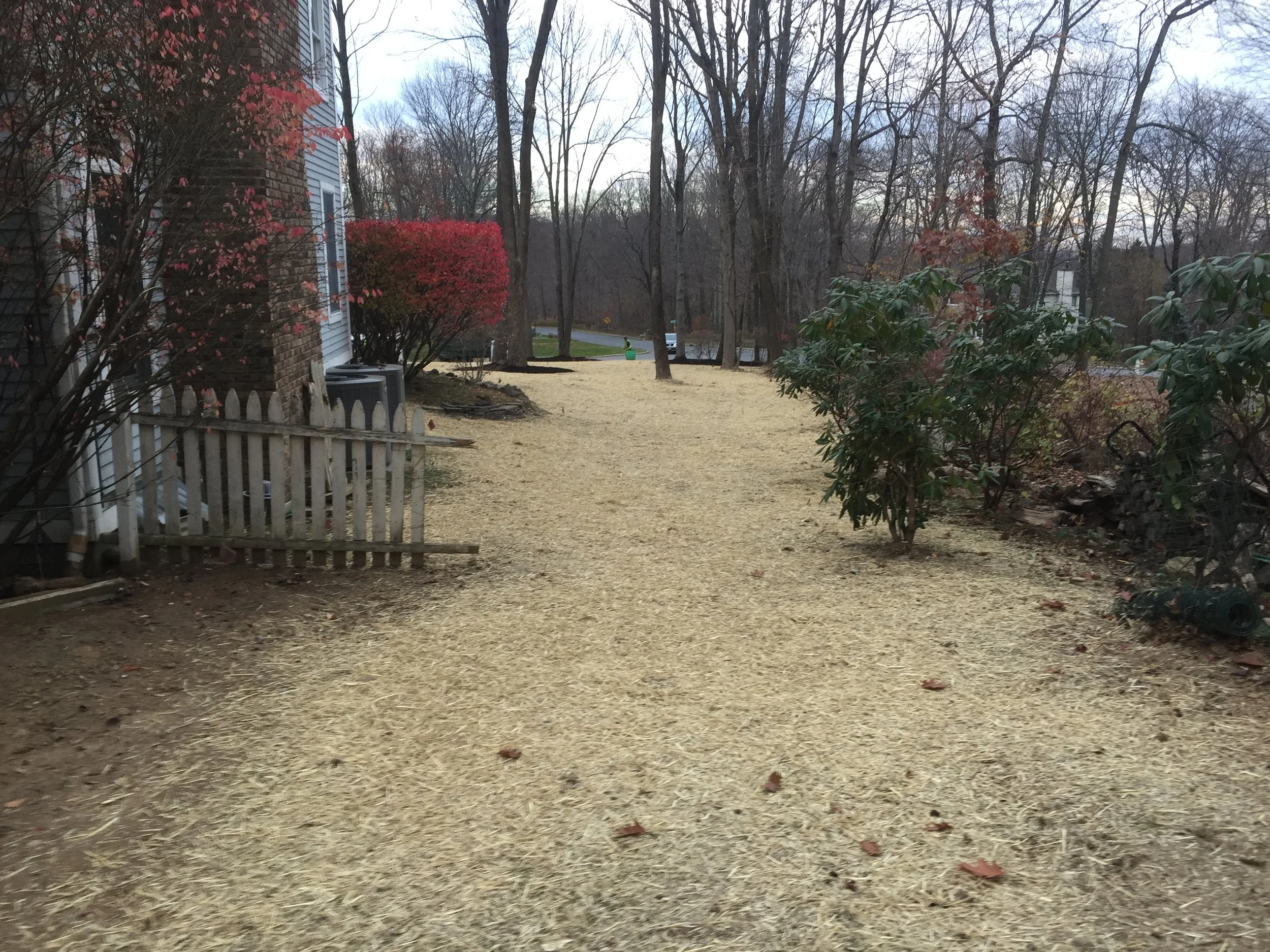 Seed and Straw - 19-7.jpg