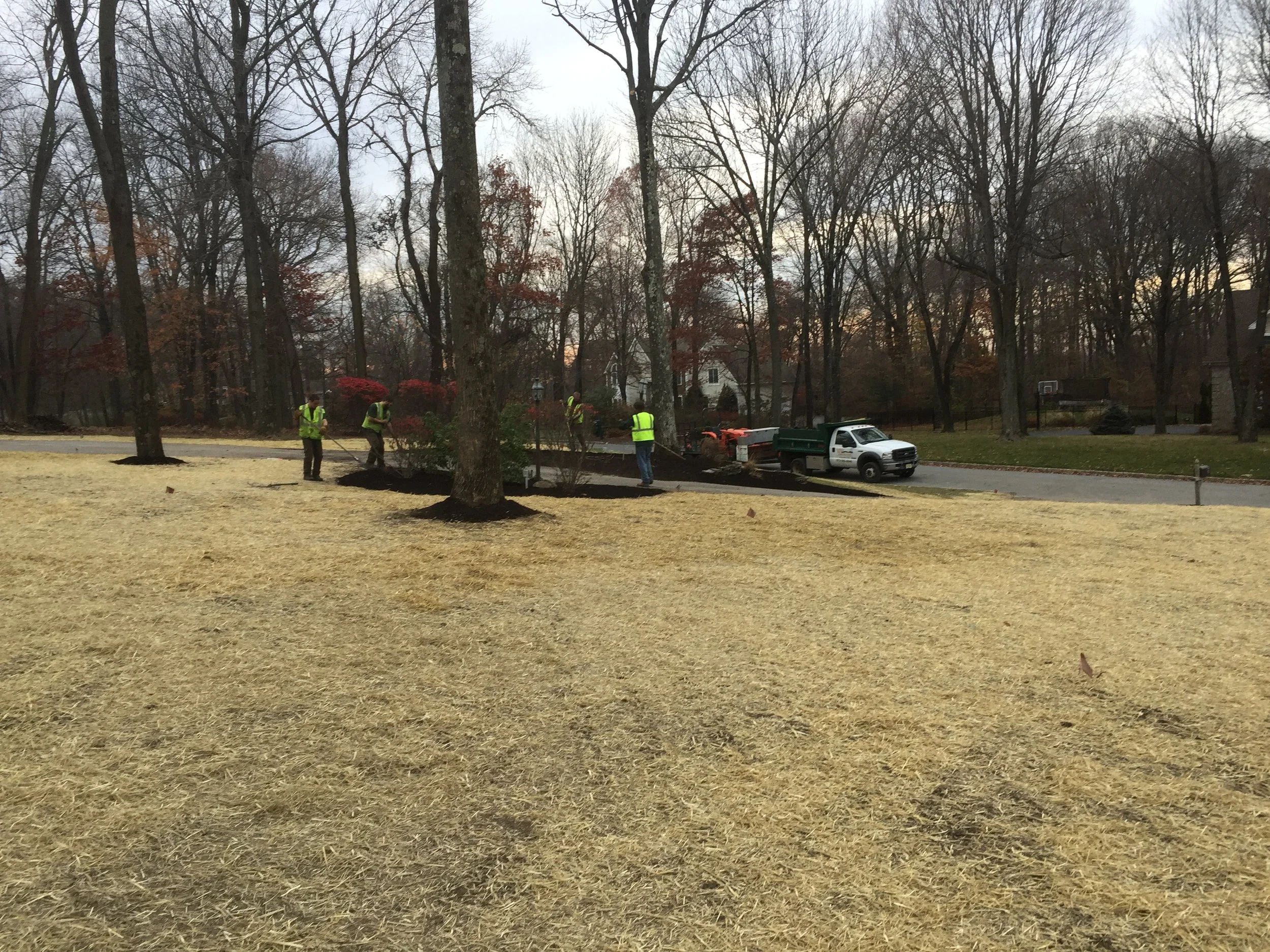 Seed and Straw - 19-8.jpg