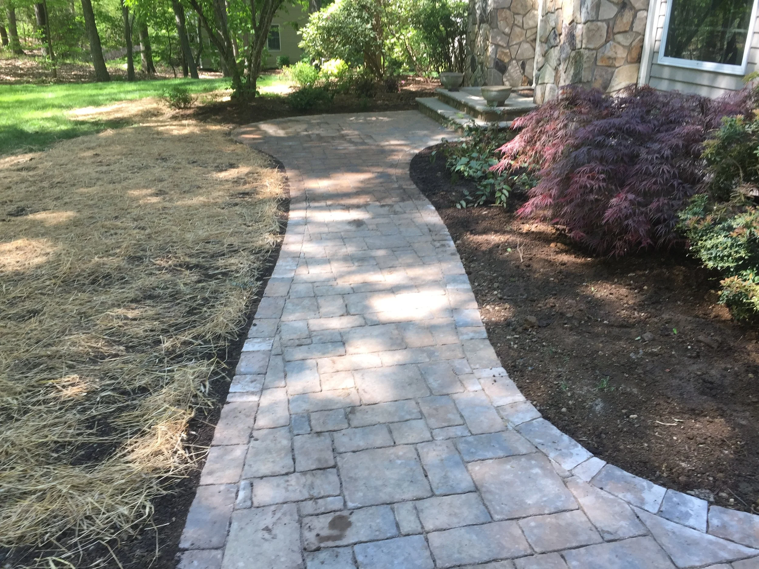 Seed and Straw - 24-5.jpg