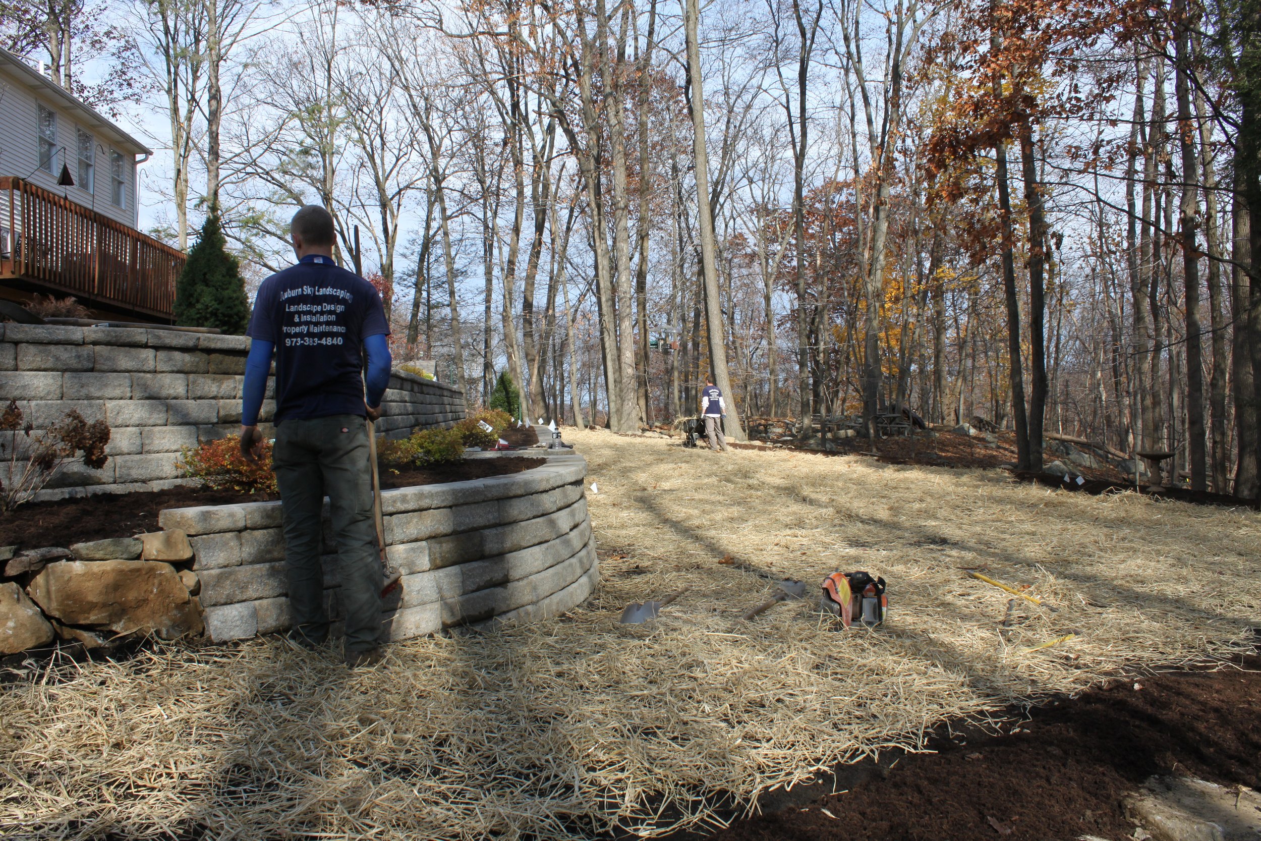 Seed and Straw - 25-4.JPG