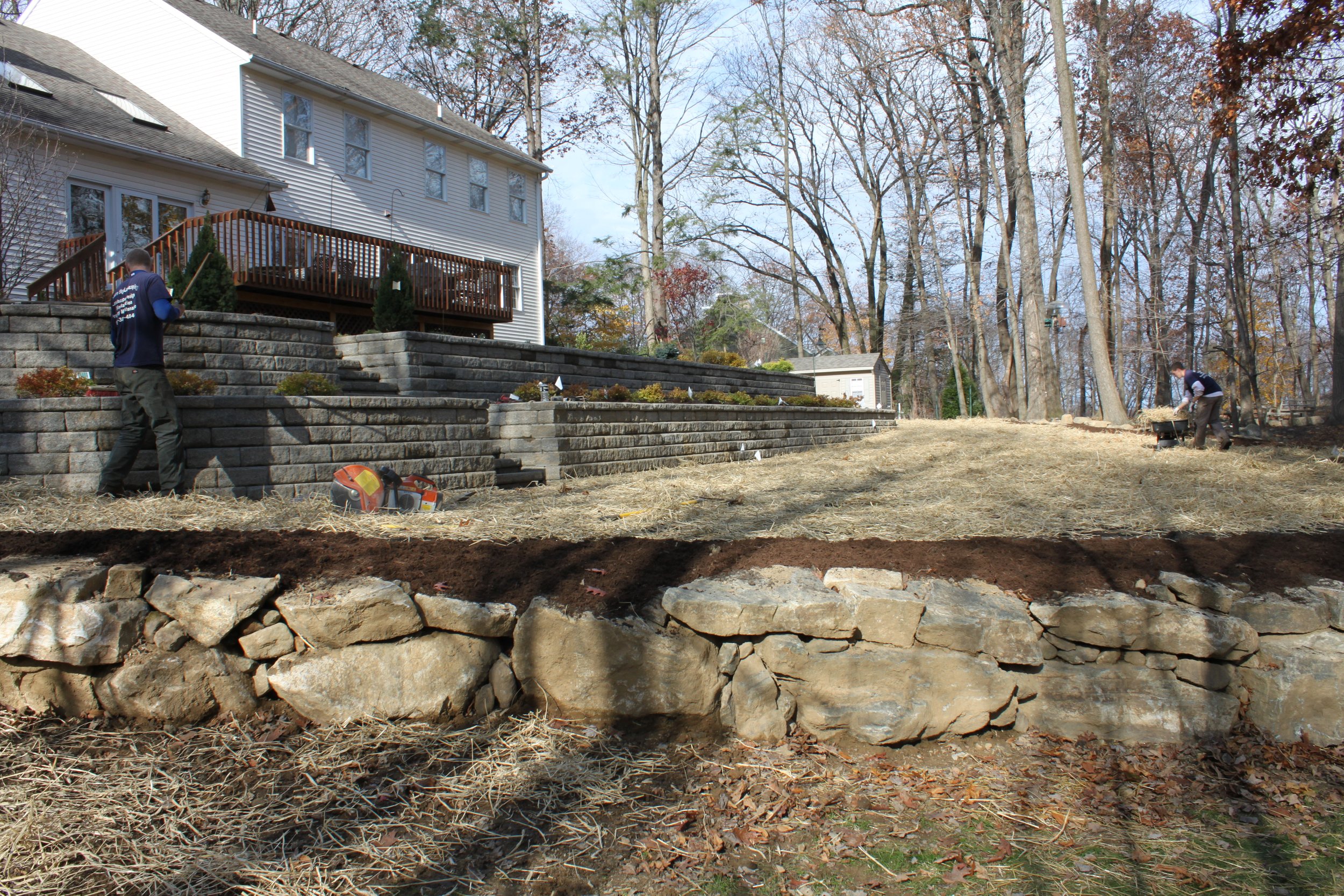 Seed and Straw - 25-5.JPG