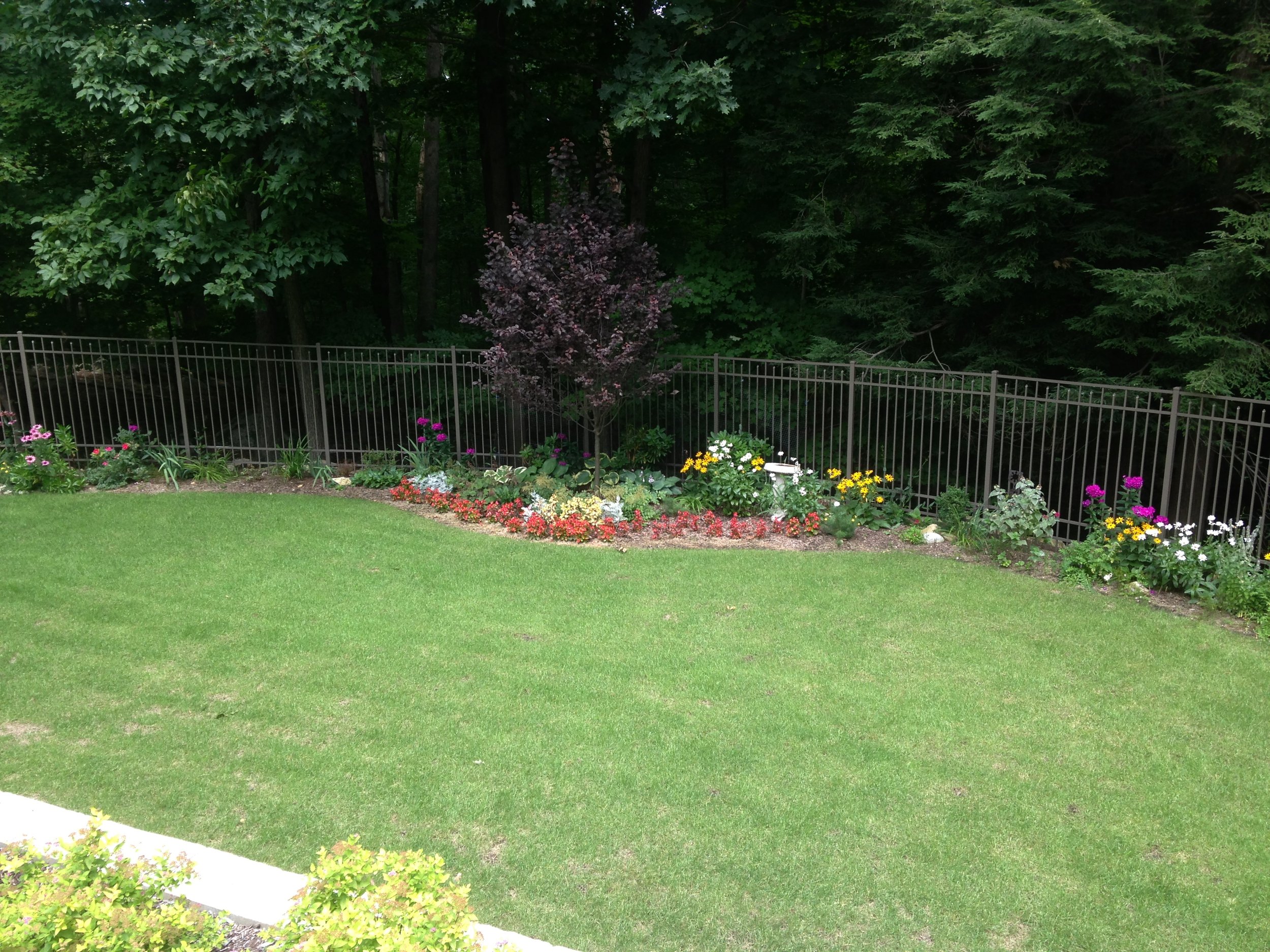 Seed and Straw - 25-7.jpg