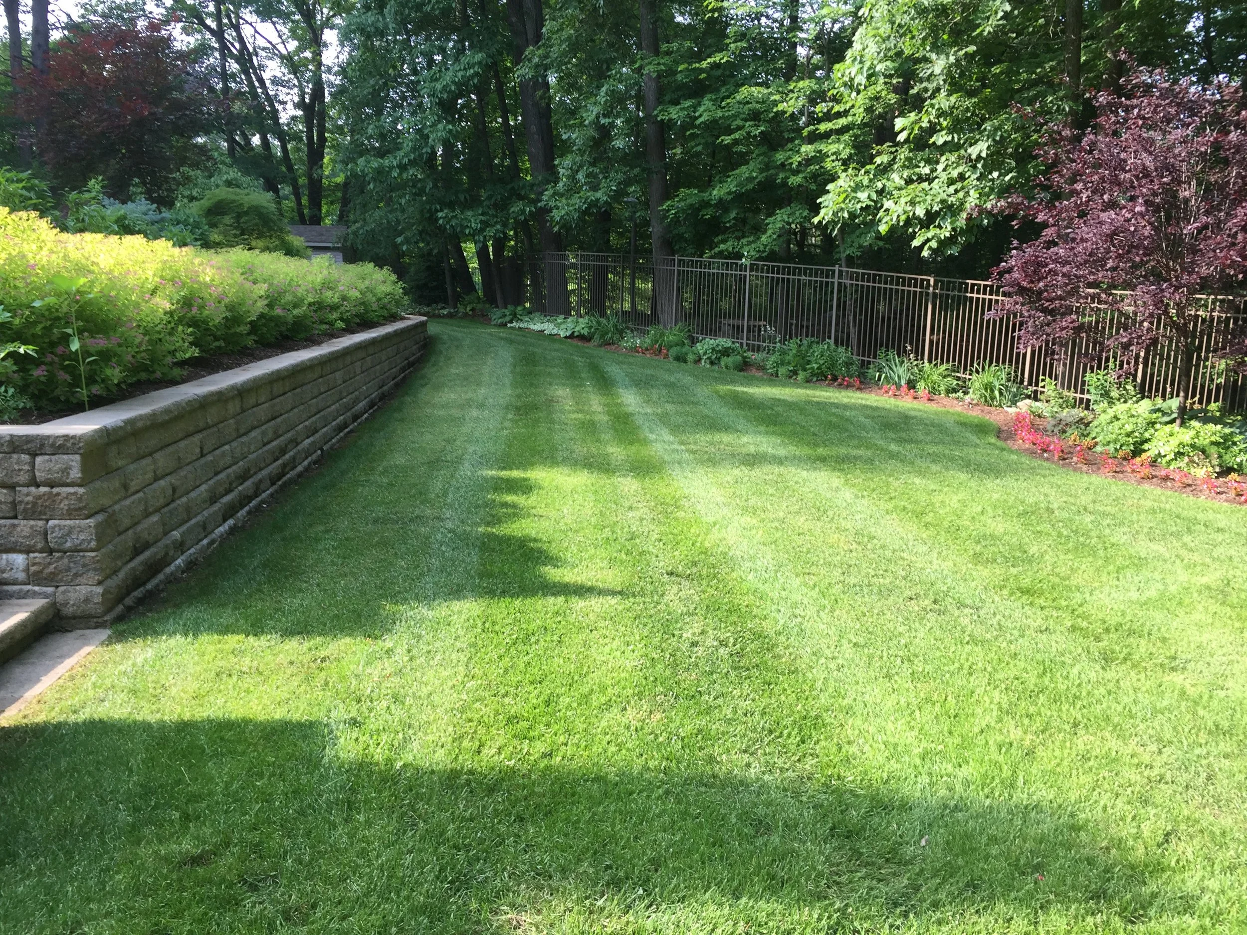 Seed and Straw - 25-9.jpg