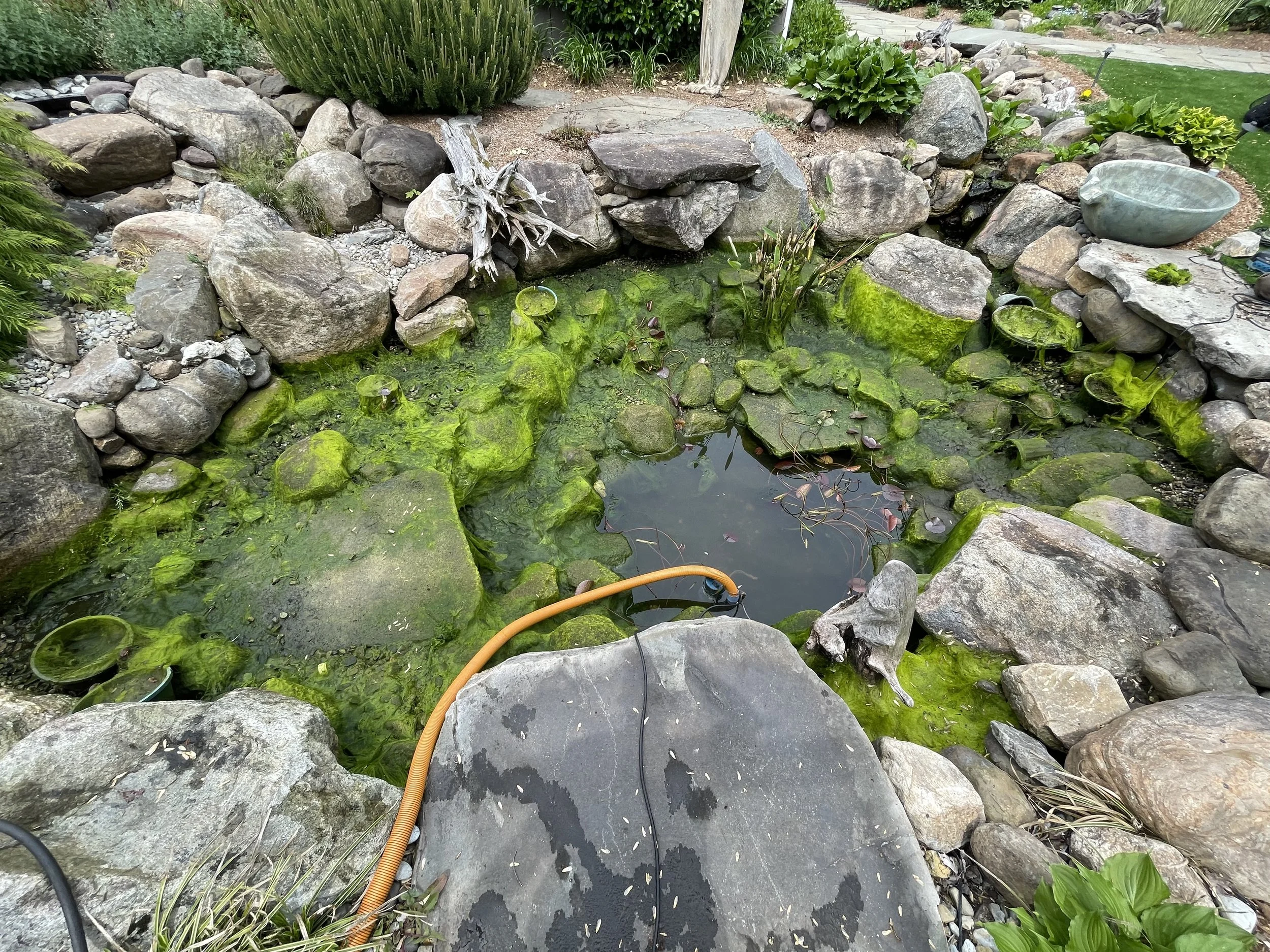 Water Feature Maintenance 1-1.jpg