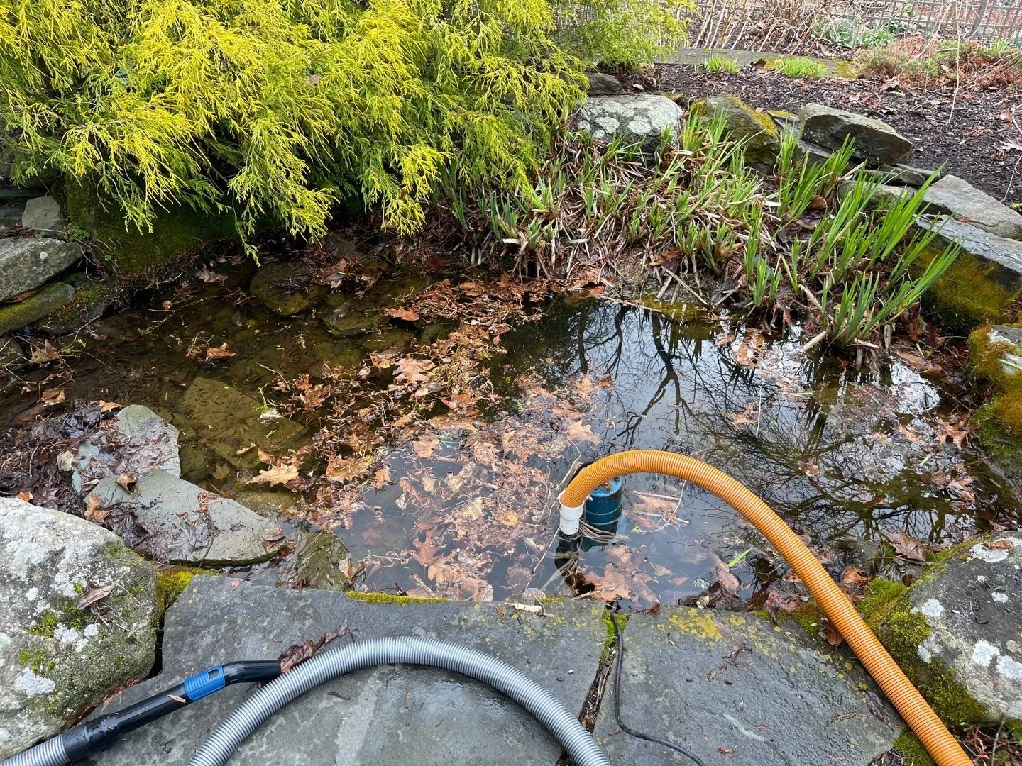 Water Feature Maintenance 3-1.JPG