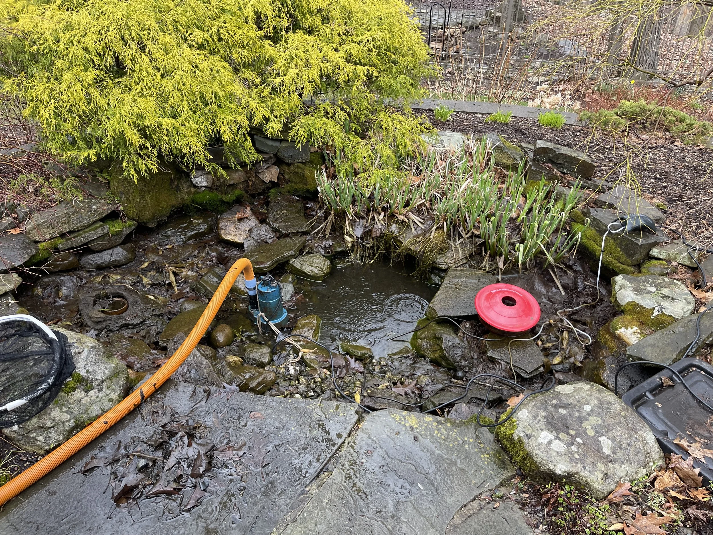 Water Feature Maintenance 3-2.jpg