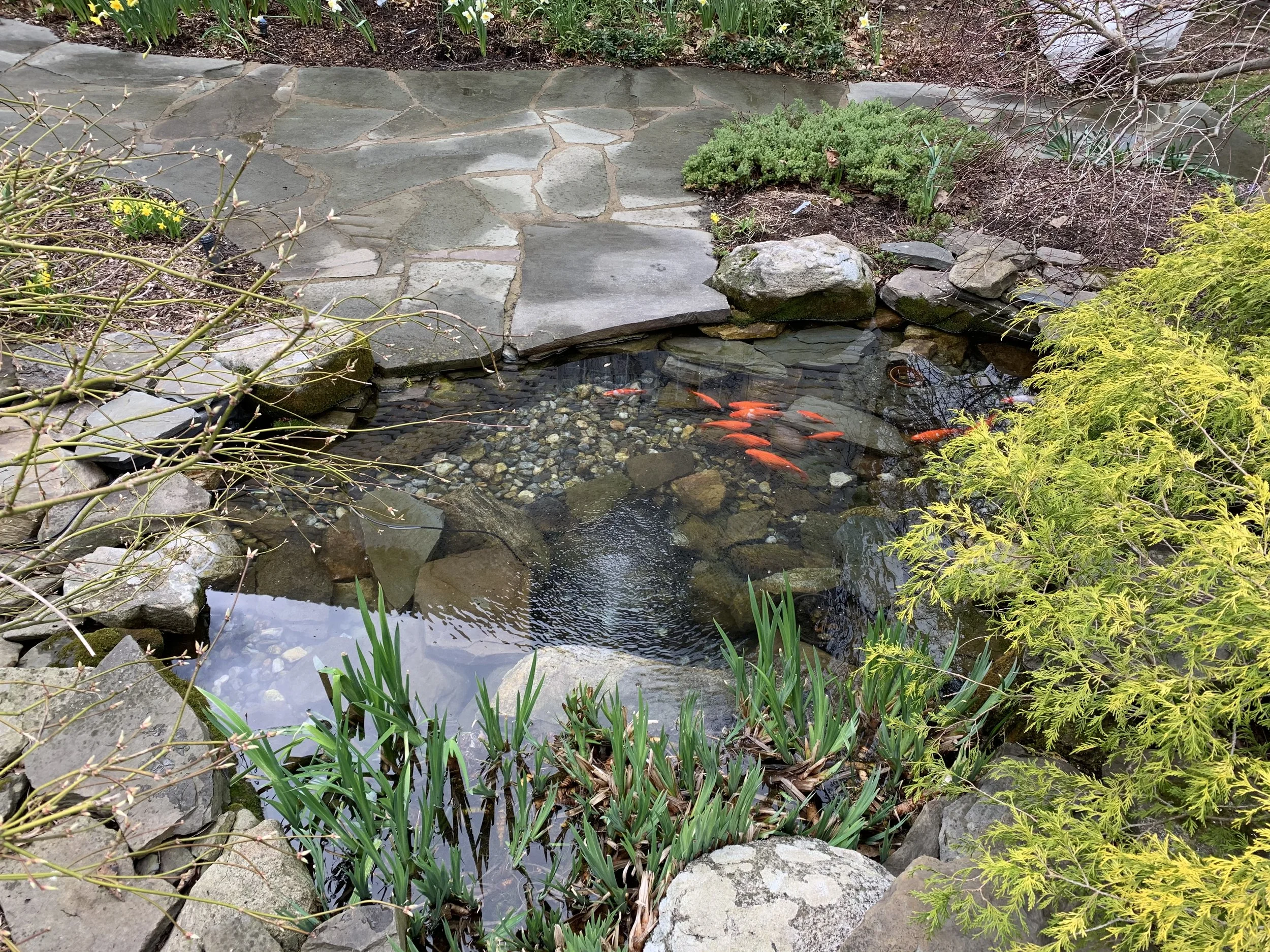 Water Feature Maintenance 3-4.jpg